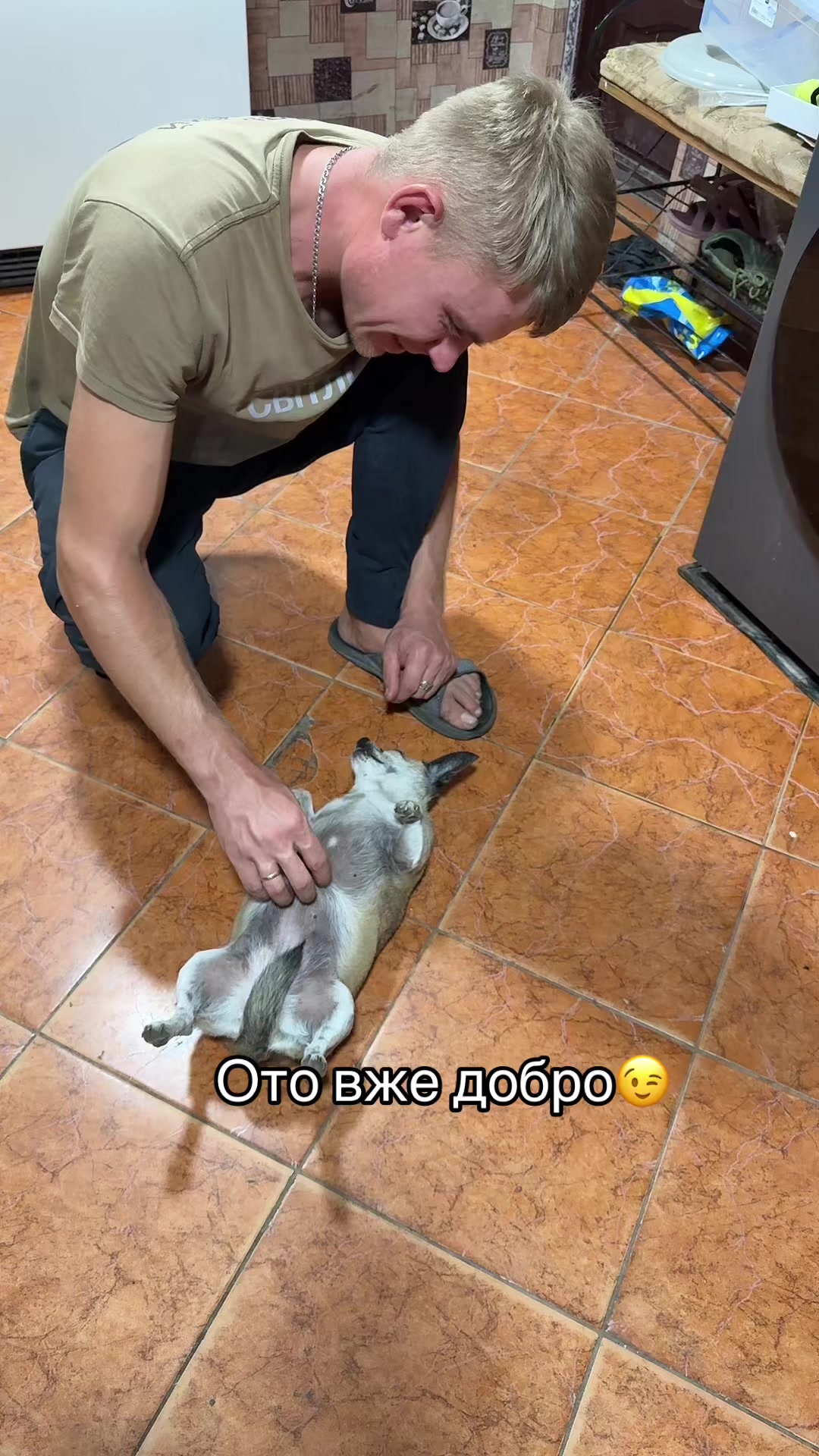 @Olena Balitska