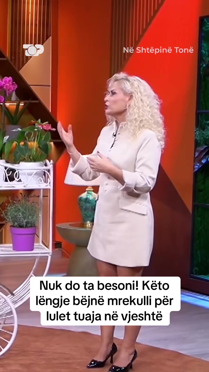 @Top Channel - Big Brother Vip