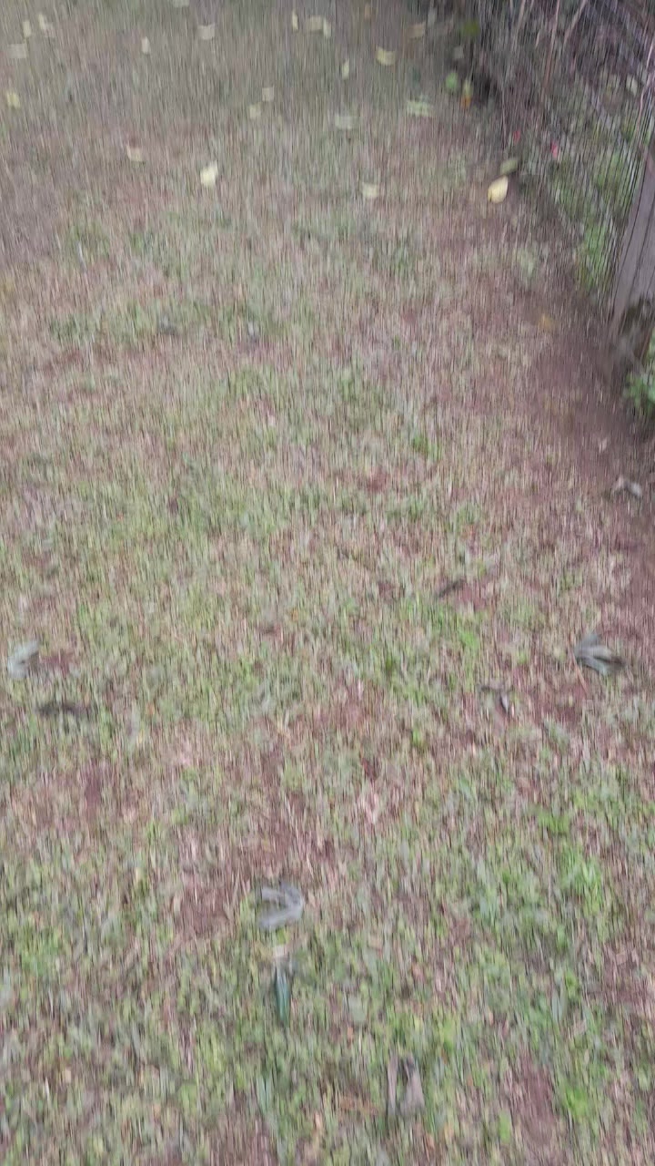 @Reginaldo dos santos pereira