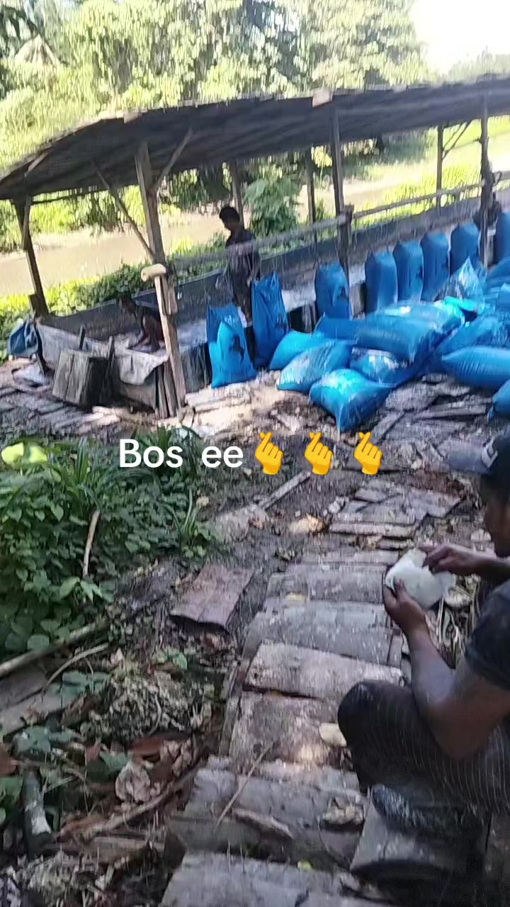 @masyus129