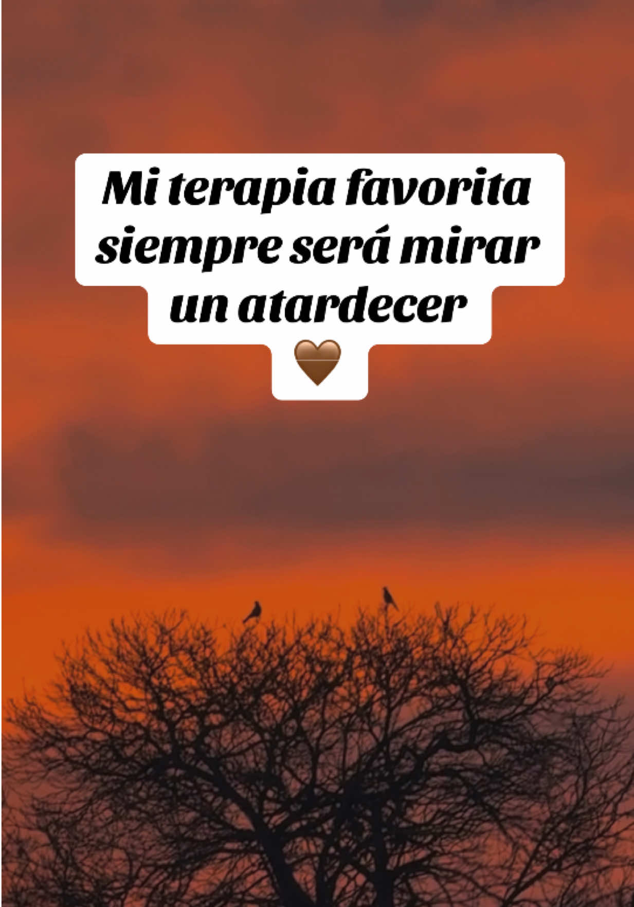 @Yesi_latin🍓🌵