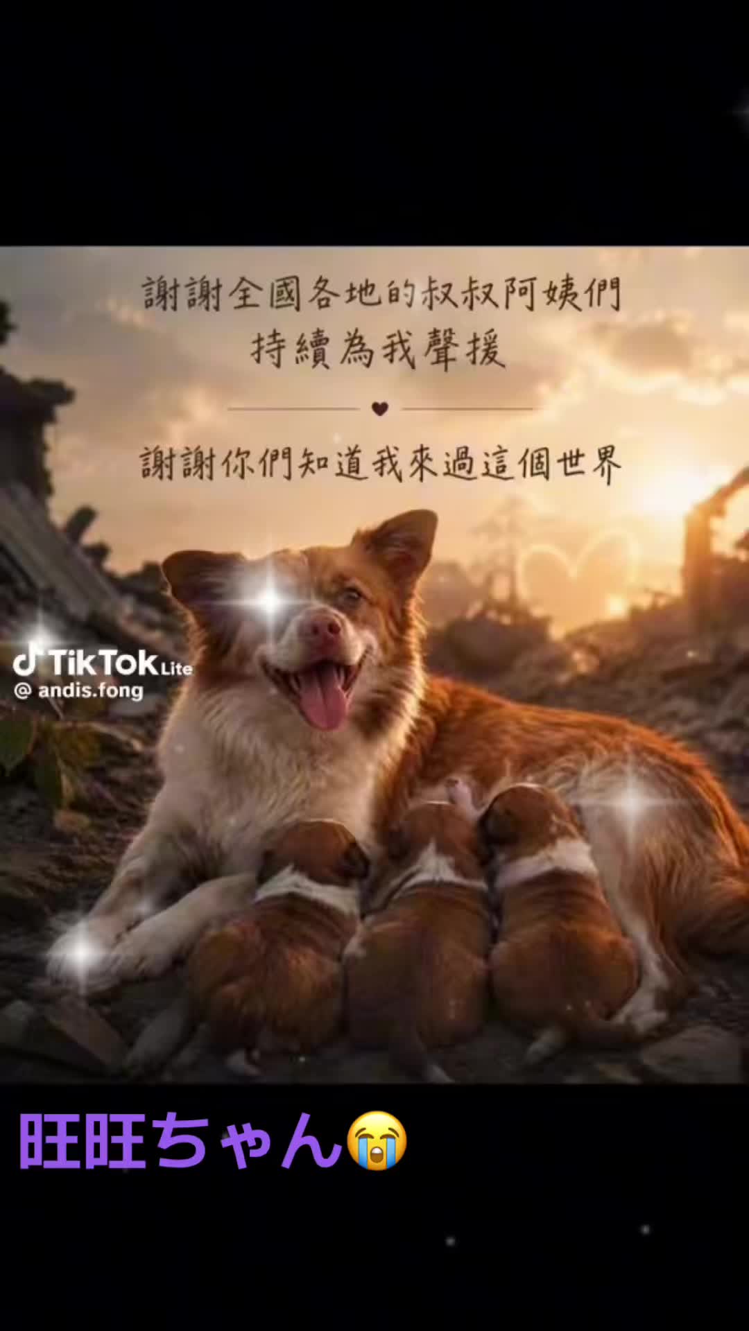 @NaruâŸïžðŸ