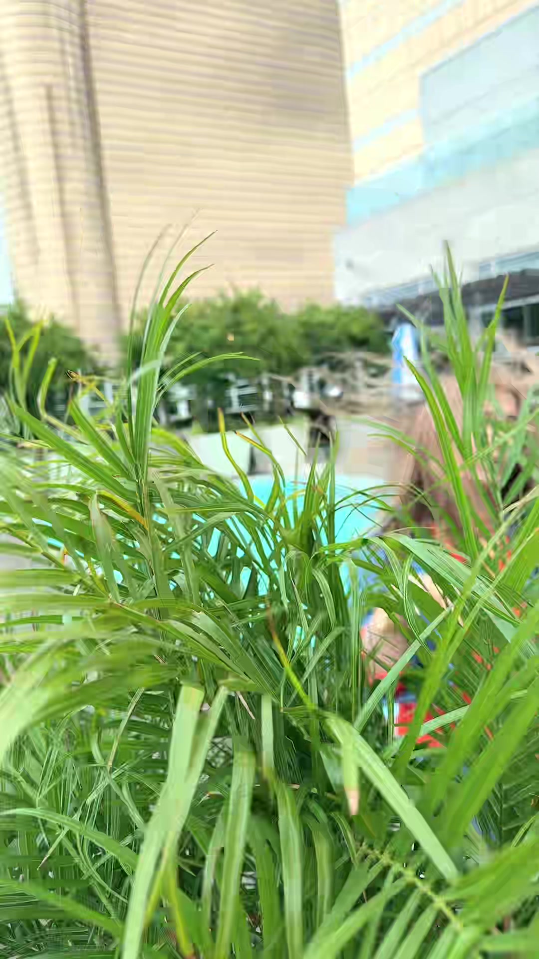 @Sonu Butt