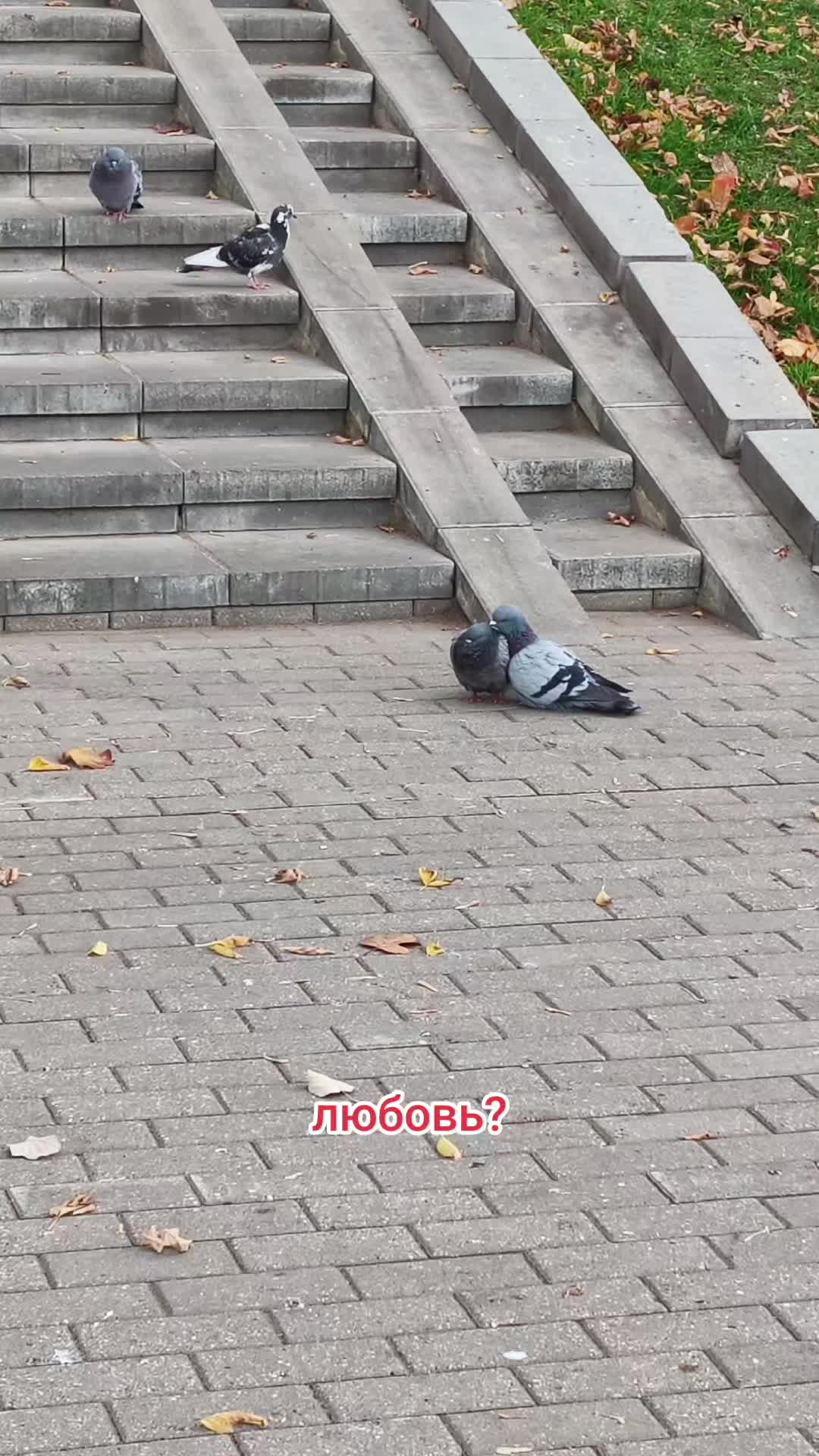 @Ольга