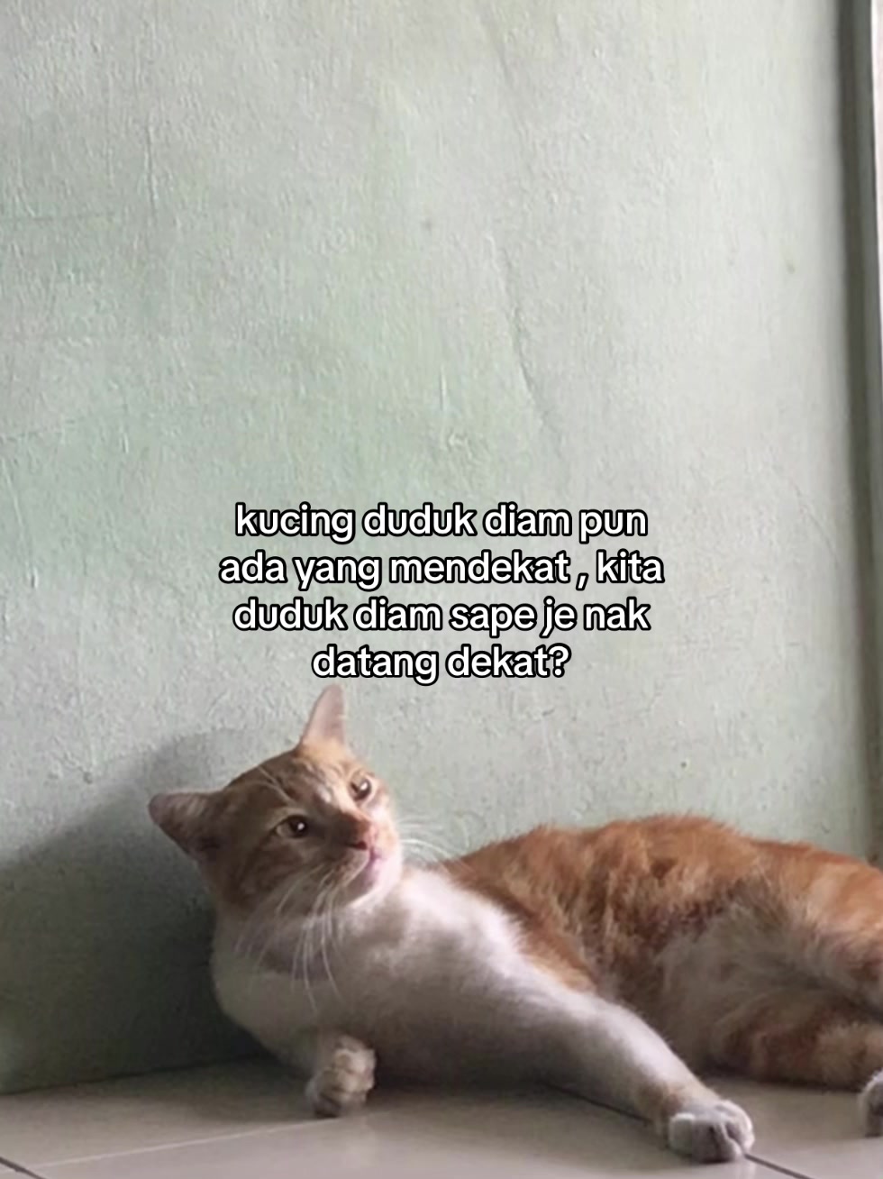 @𝑄