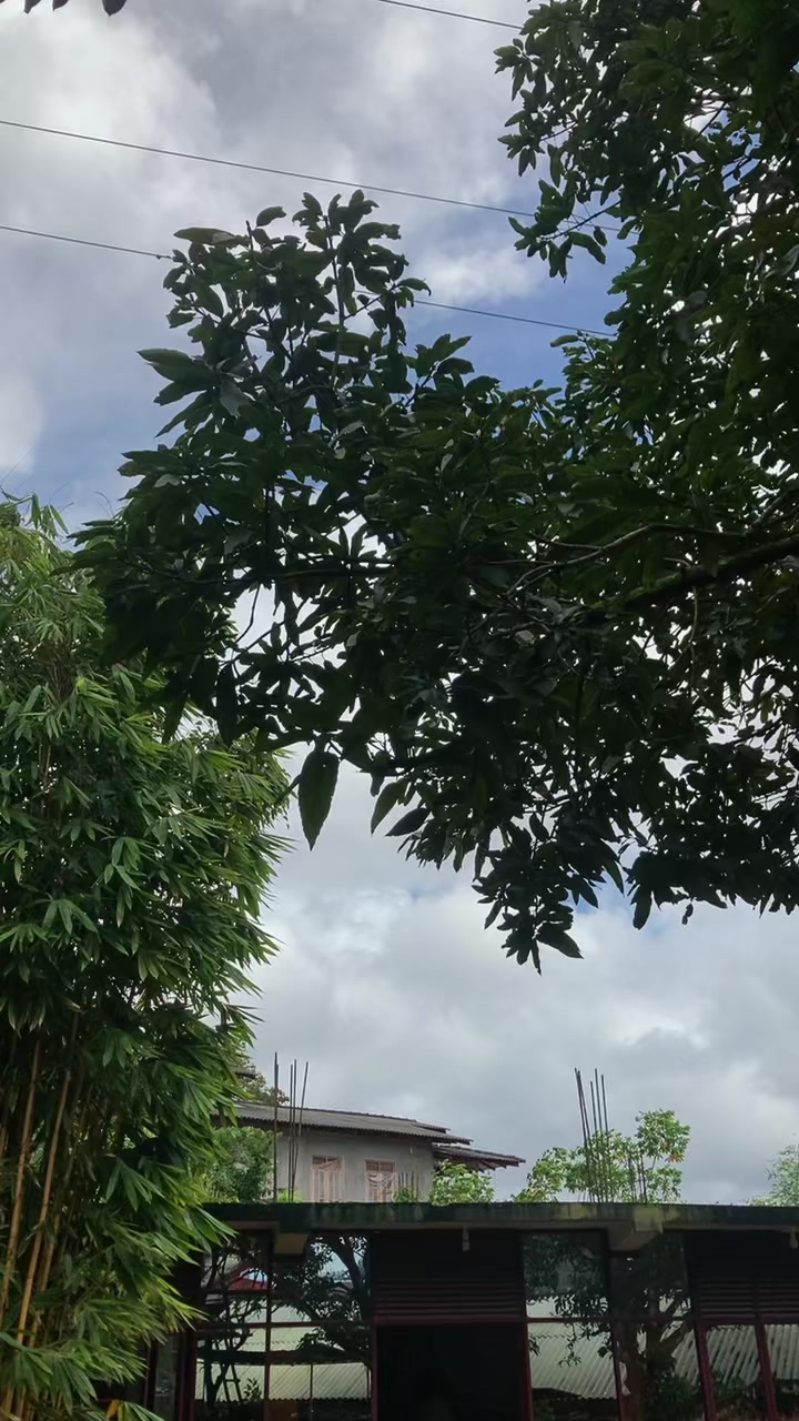 @Np