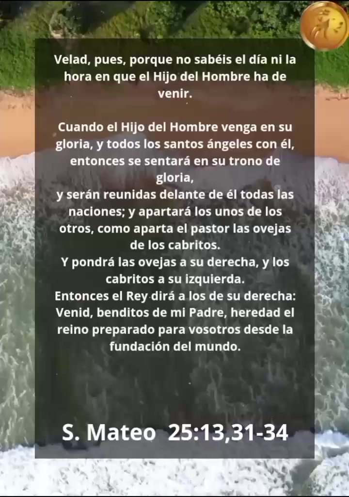 @Vicayquipa