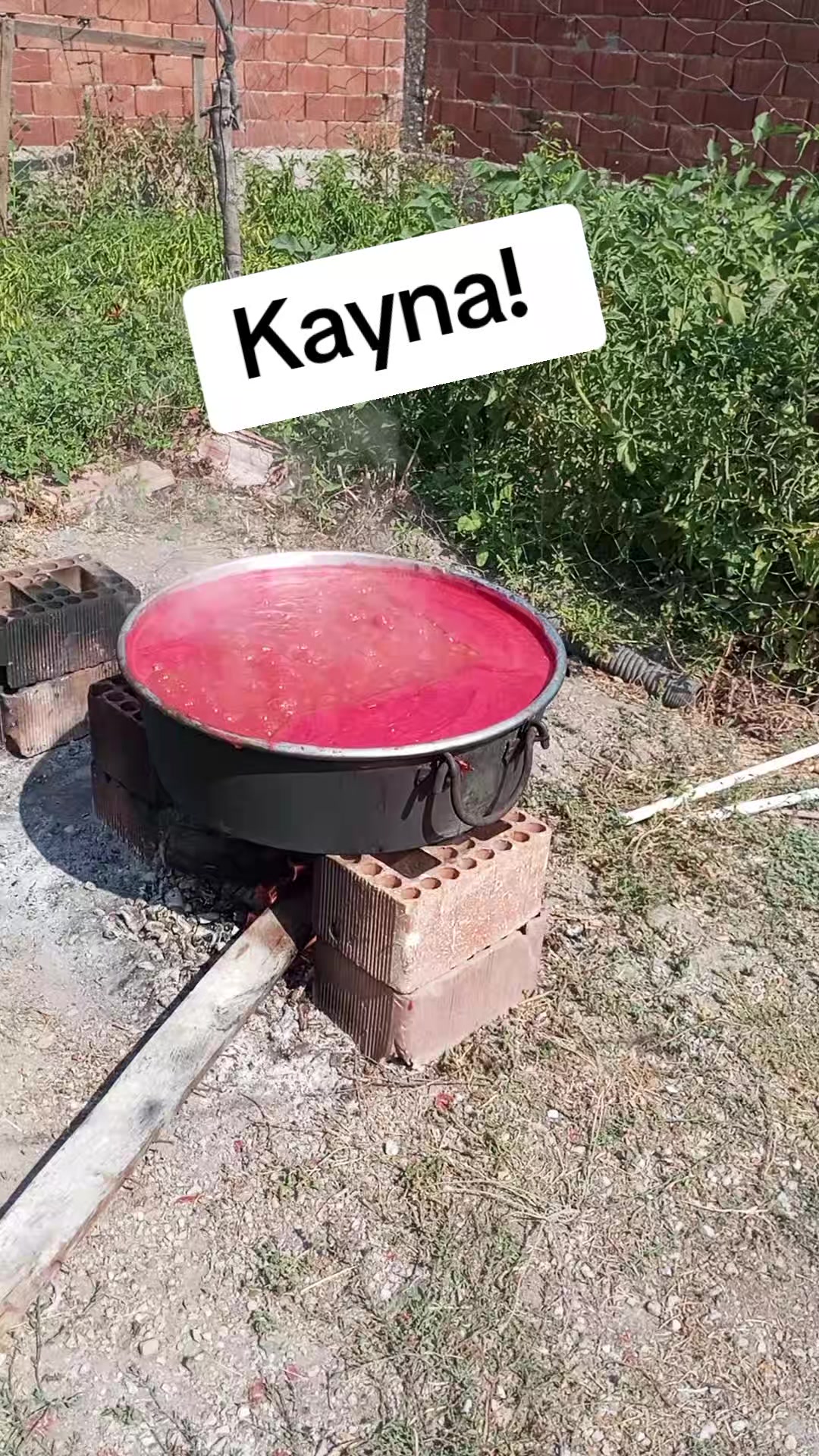 @Nefislezetlitarifler