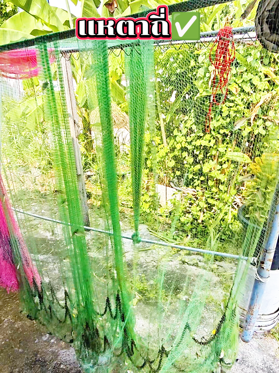 @ล่ำลือ ฟิชชิ่ง ขายทุกอย่าง🥳🎣