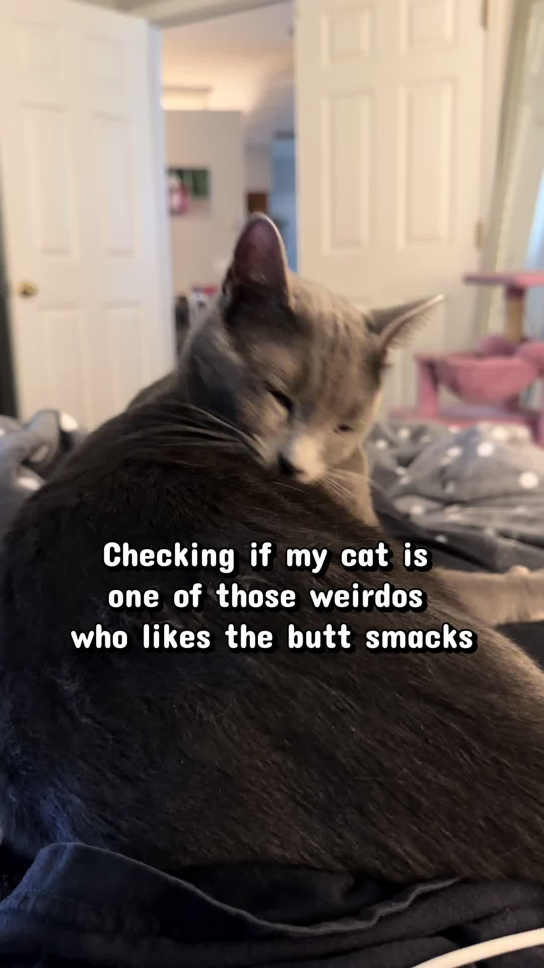 @Michelle