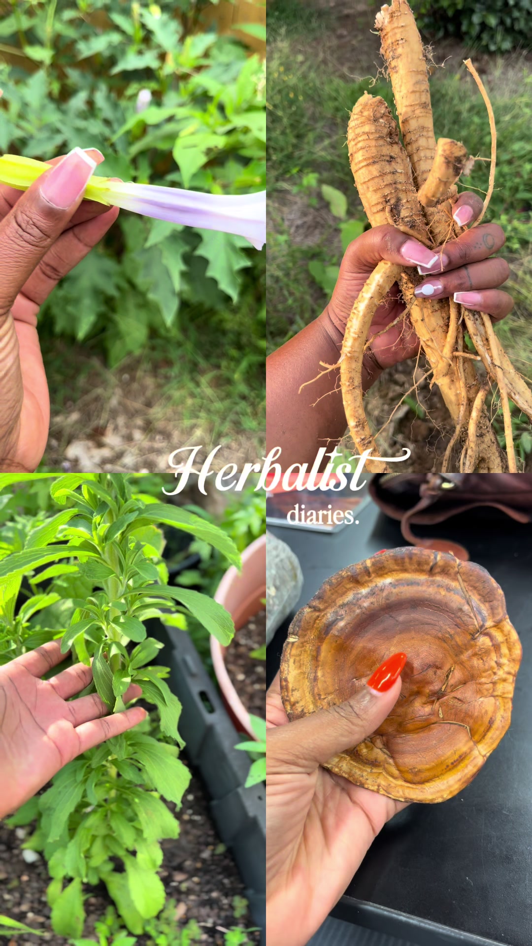 @Essencetheherbalist