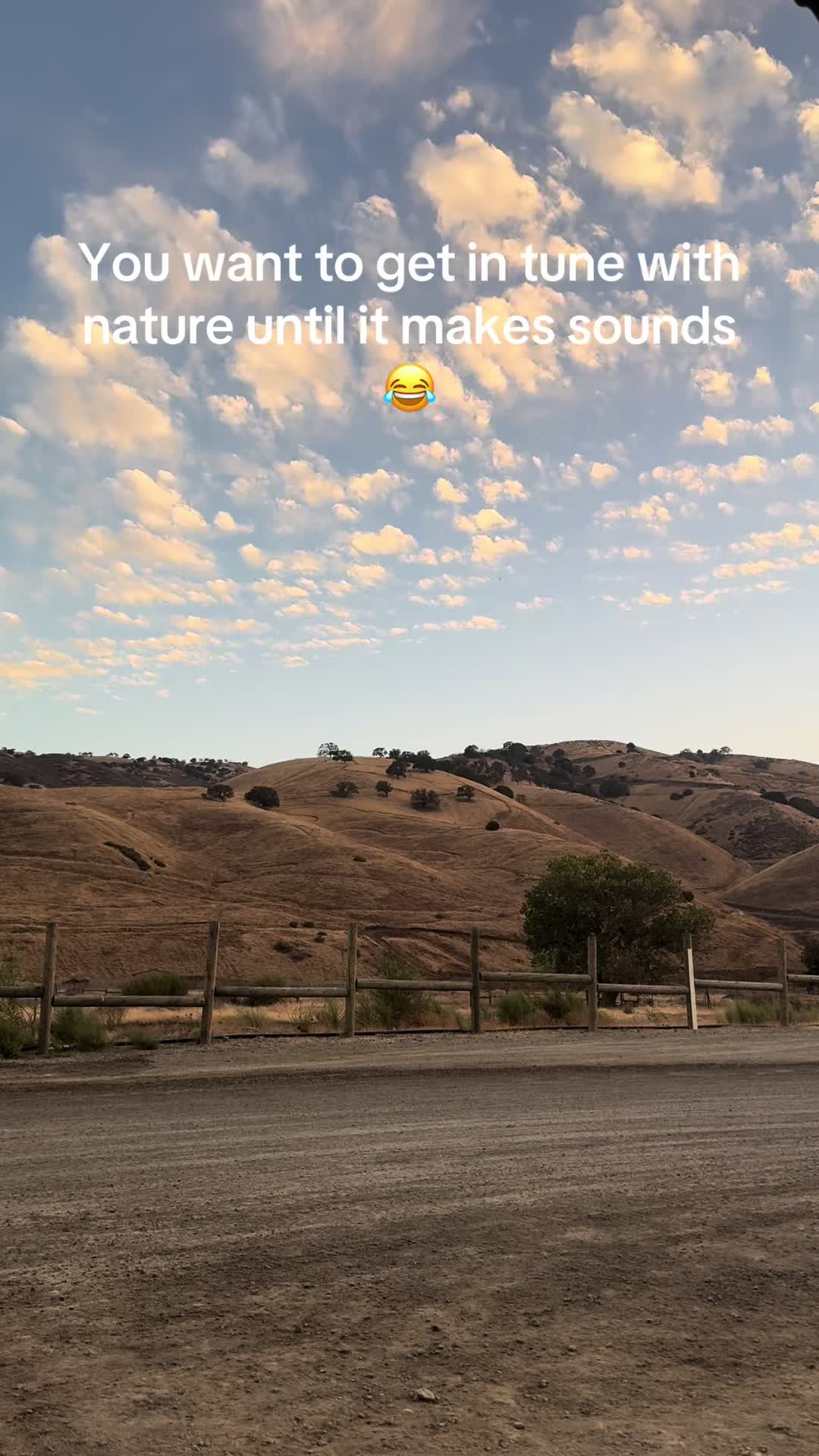 @Vanessacarrillo_