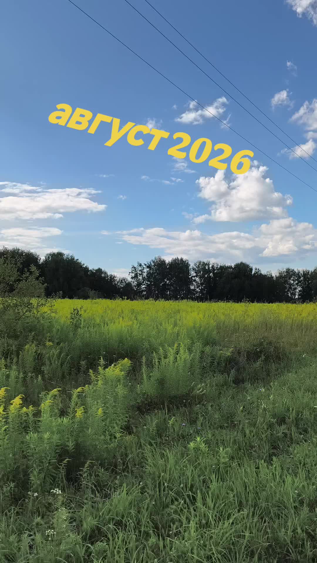 @Ольга🌷