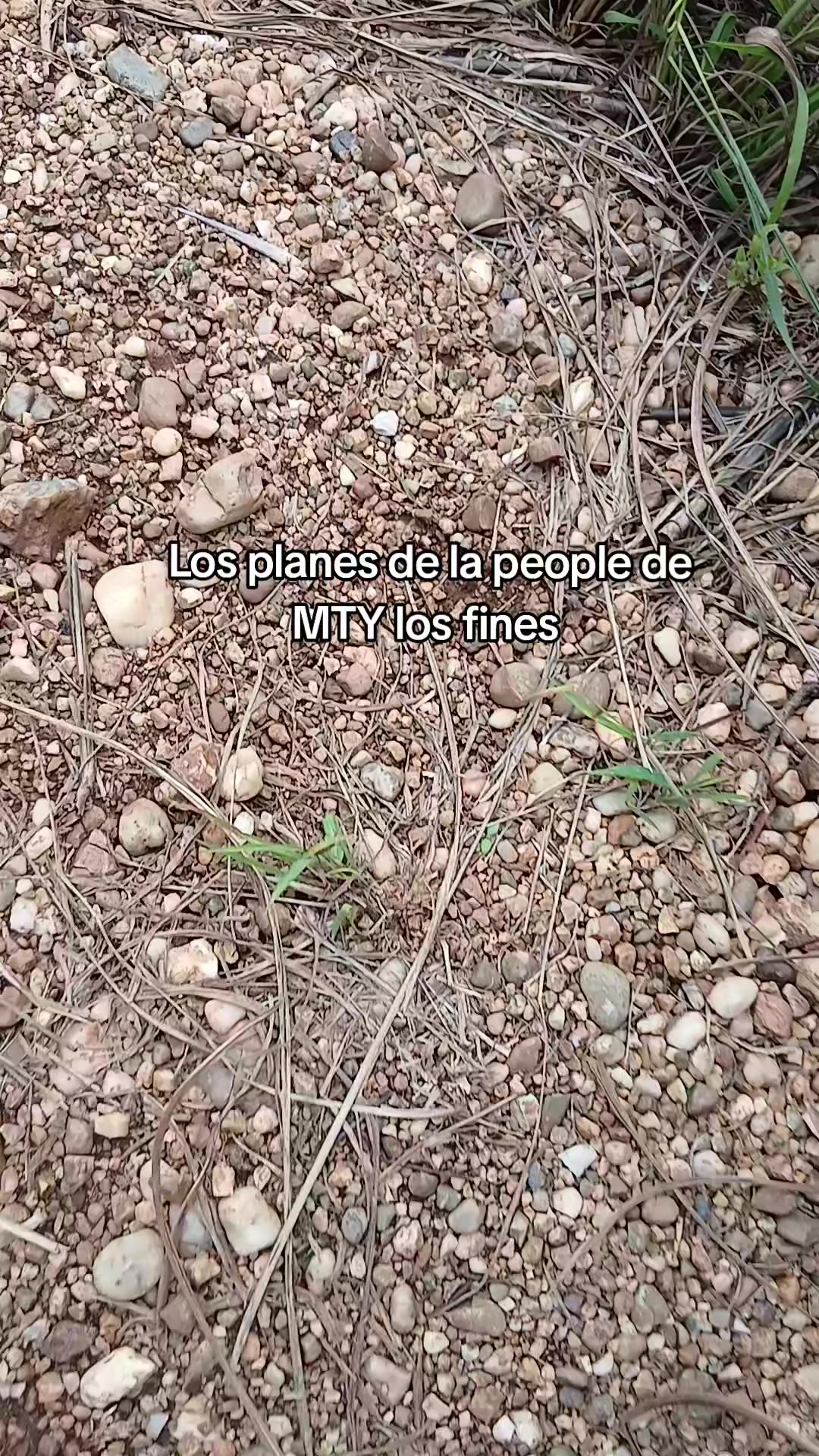 @Felipillo