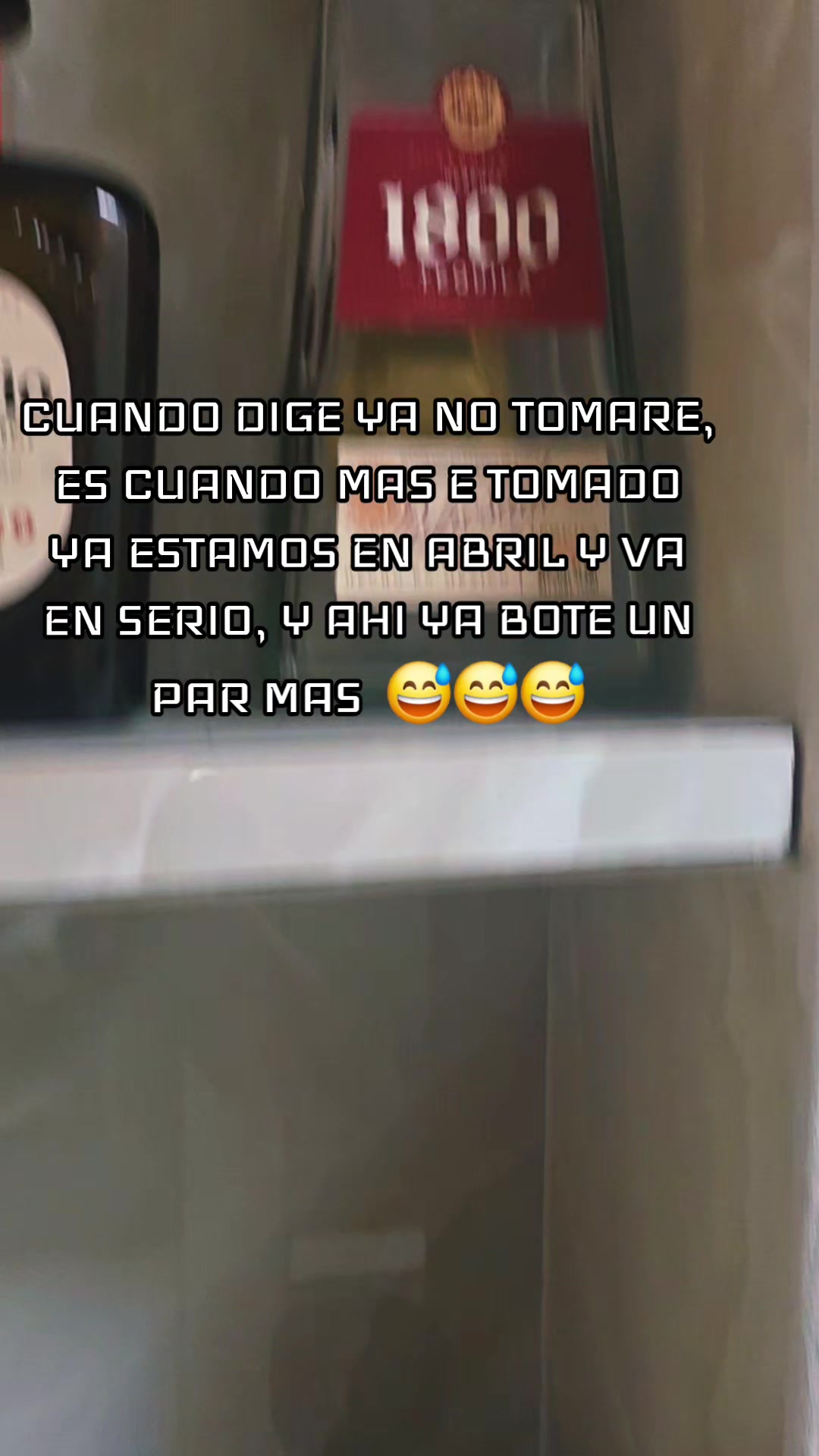 @💎⚜️🎼 NICOL 🎼⚜️💎