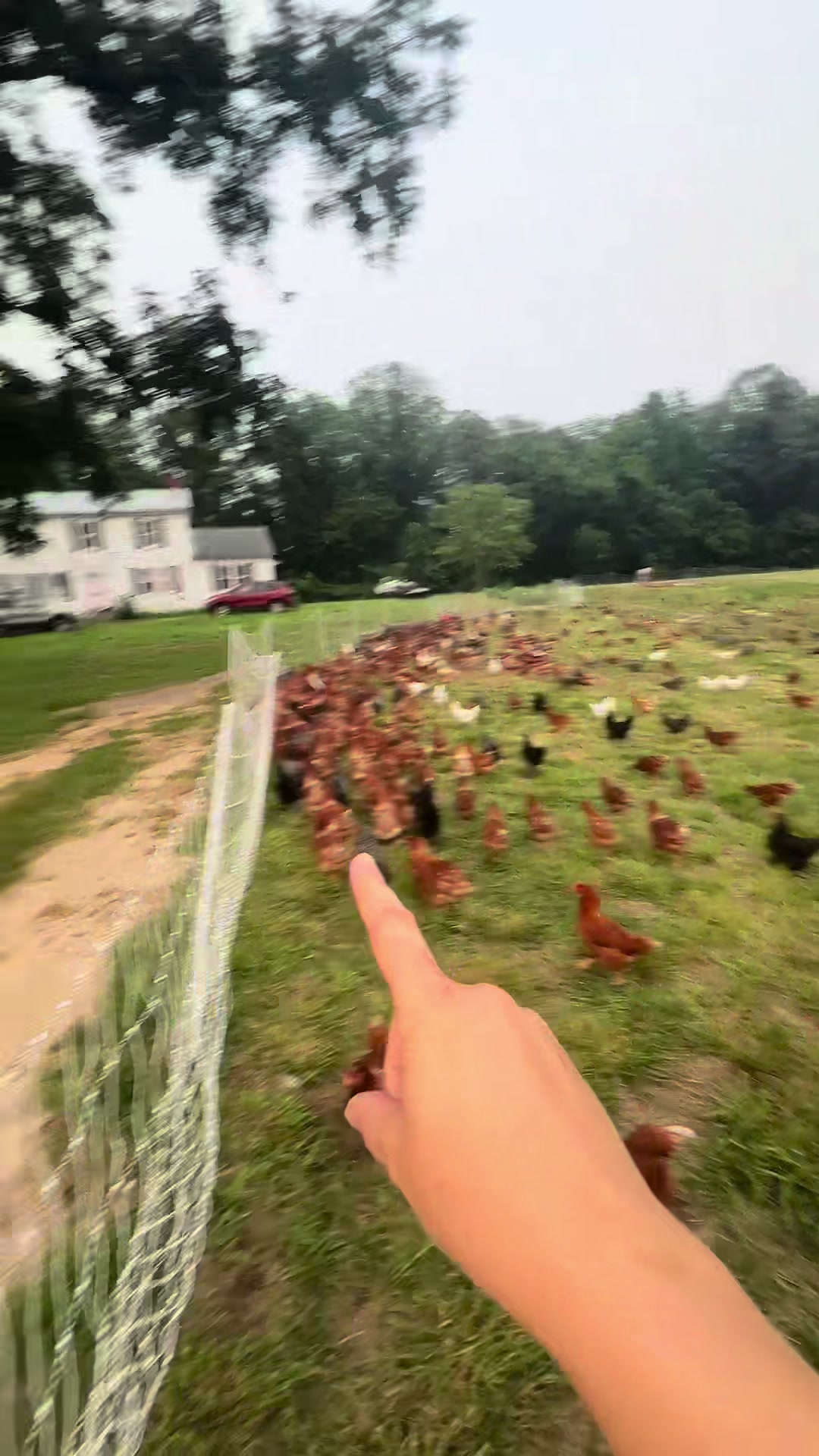 @farmerandtheharpiist