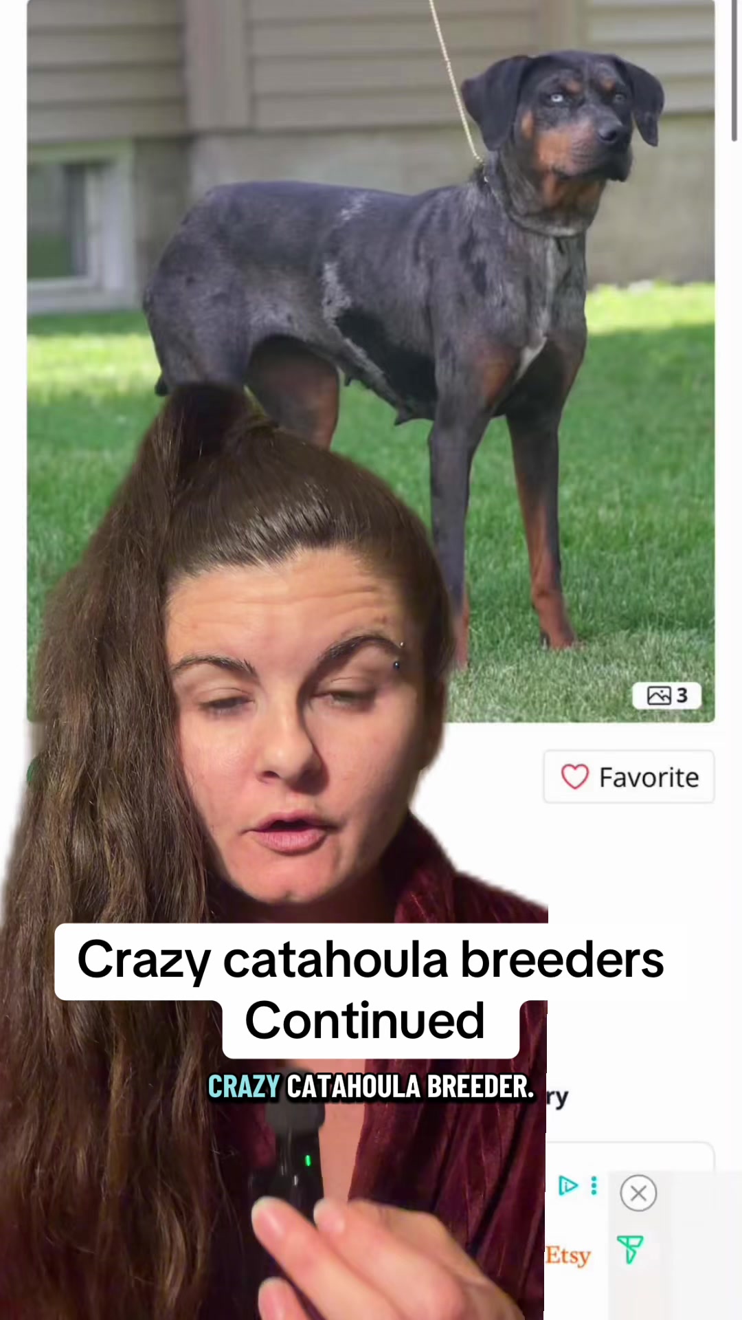 @Jess Shark🐾DOG PACK🐾