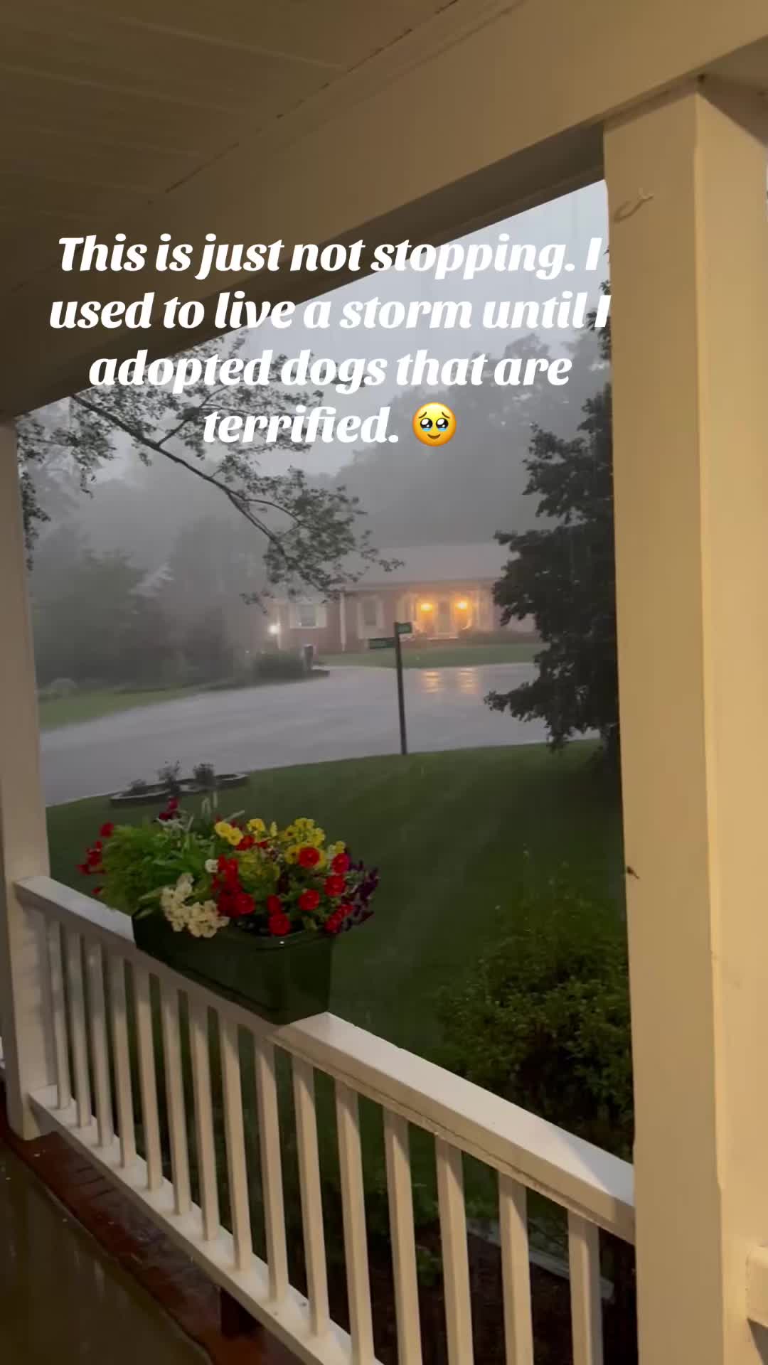 @lifewithduke2025