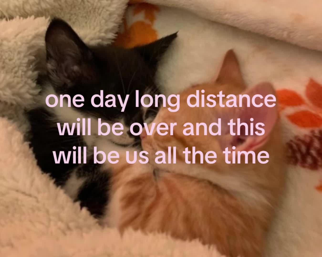 @alittlemore
