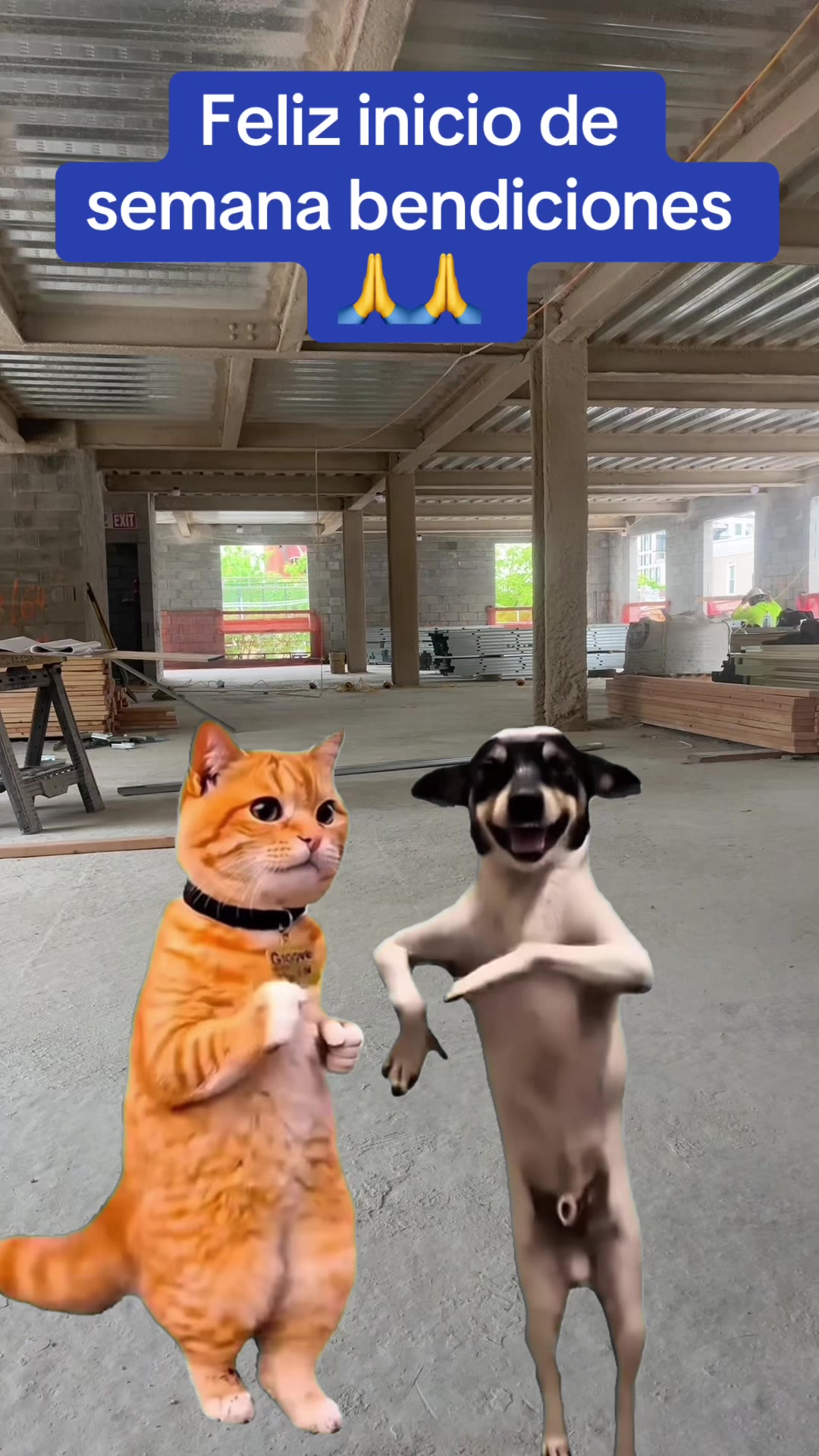 @central87