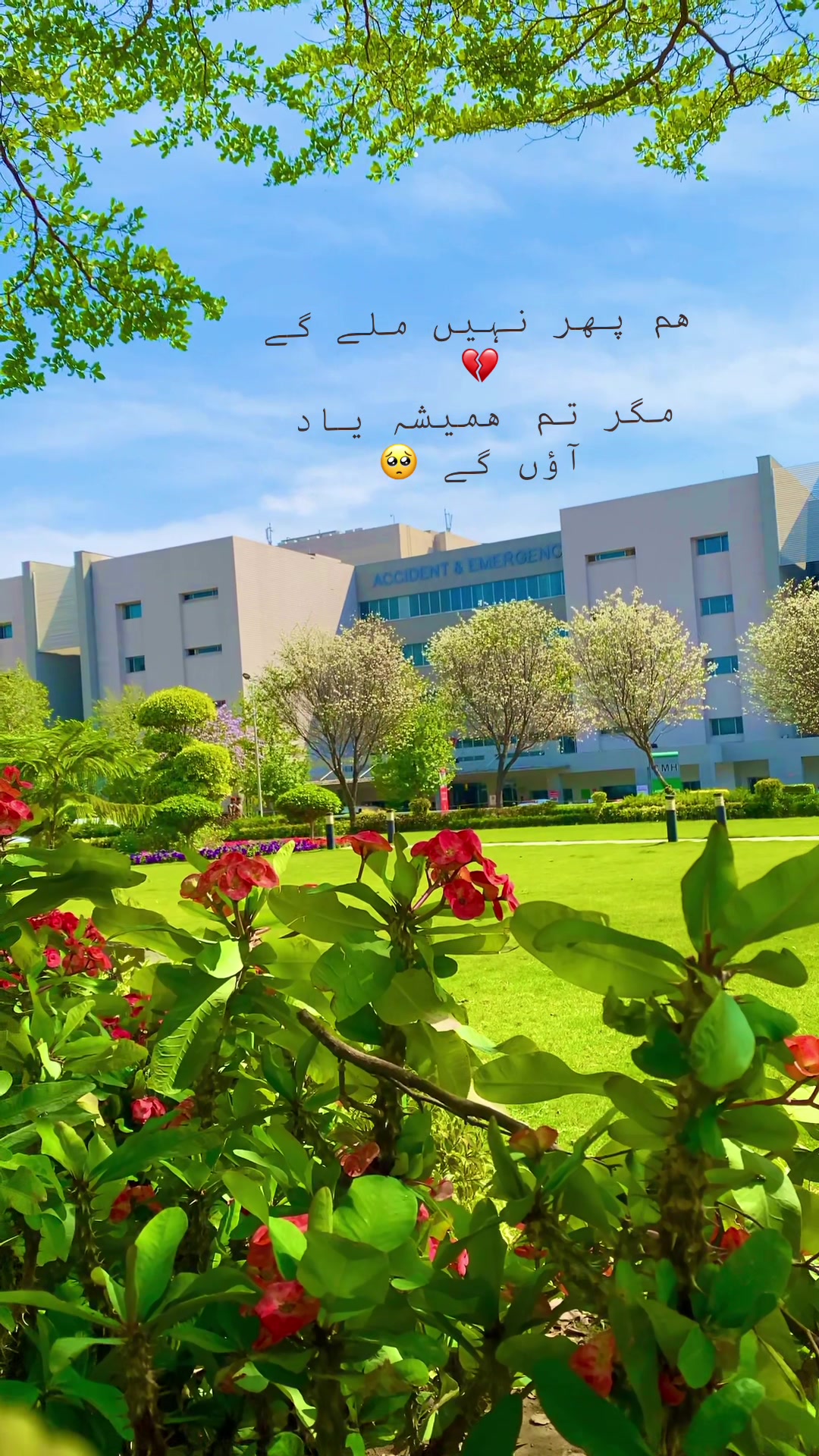 @✨🥀مریم