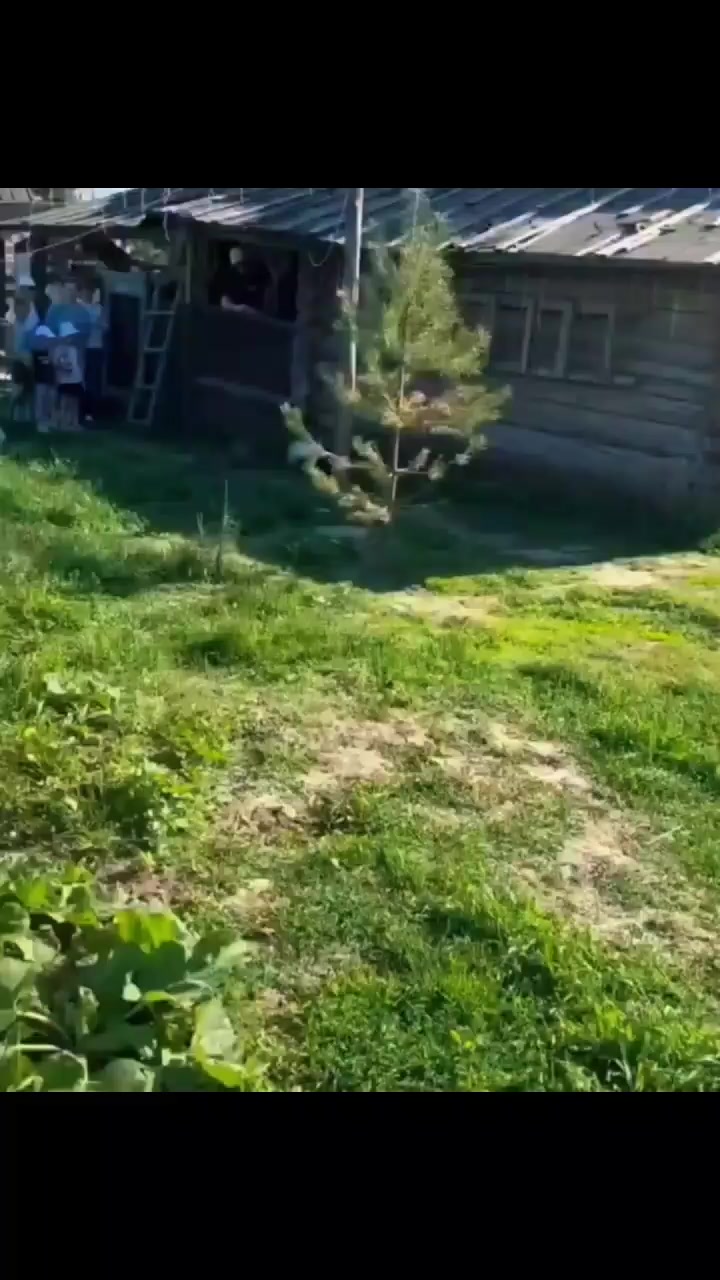 @Vova_Prime