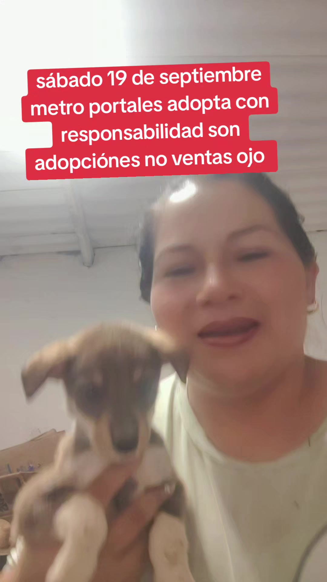 @rescate de perros guapos 😚