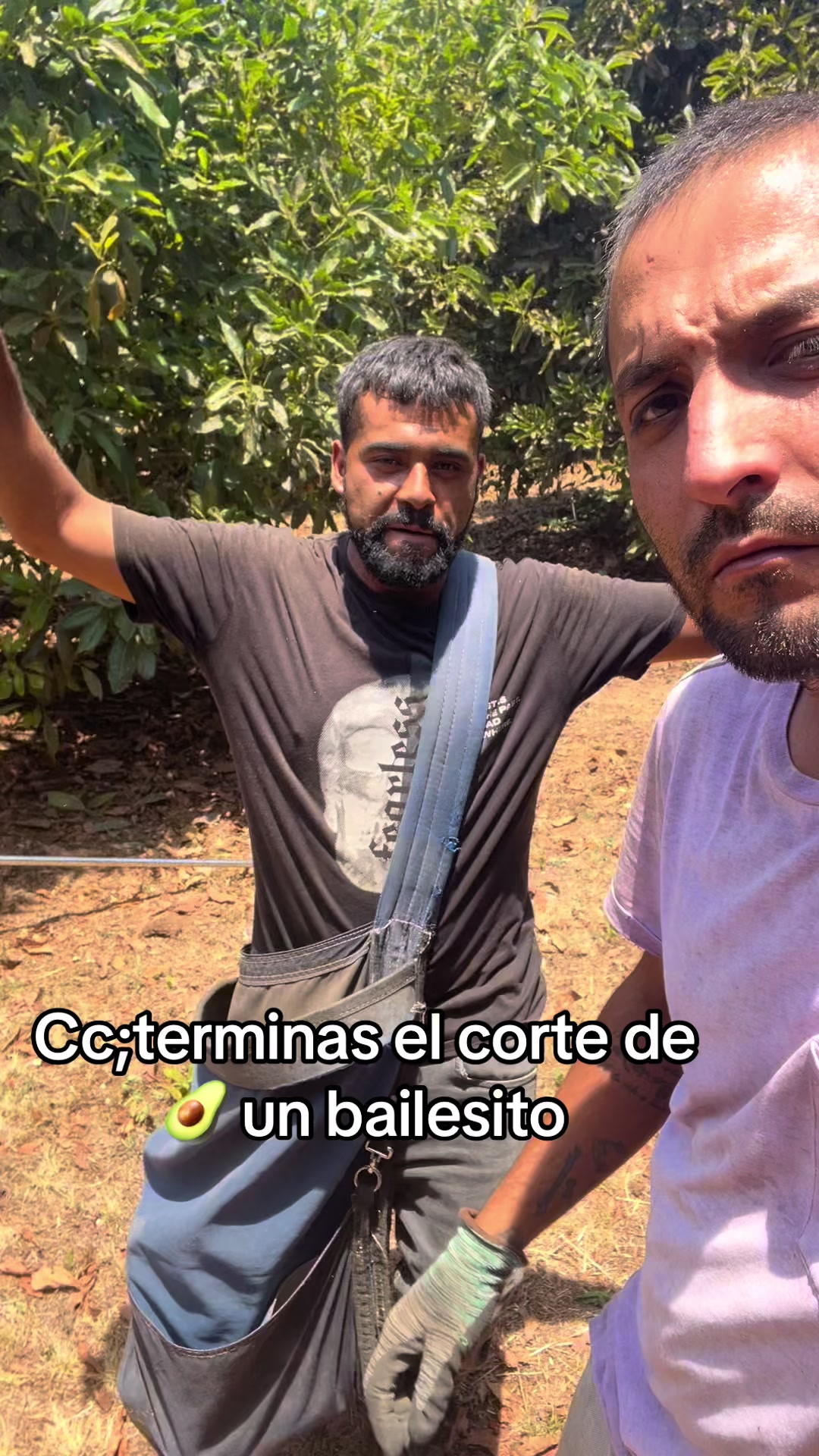 @EL SEÑOR DE LOS PEDOS