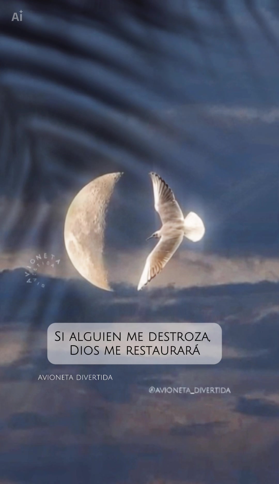@avioneta_divertida