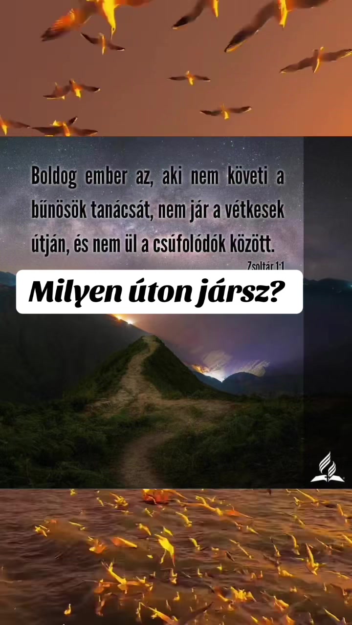 @Mónika Erős