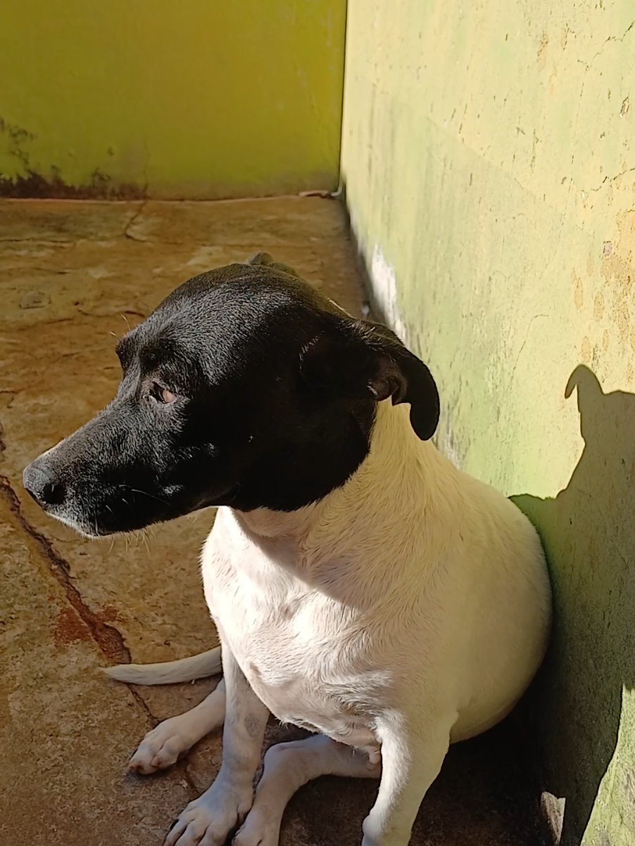 @Nubia Oficial