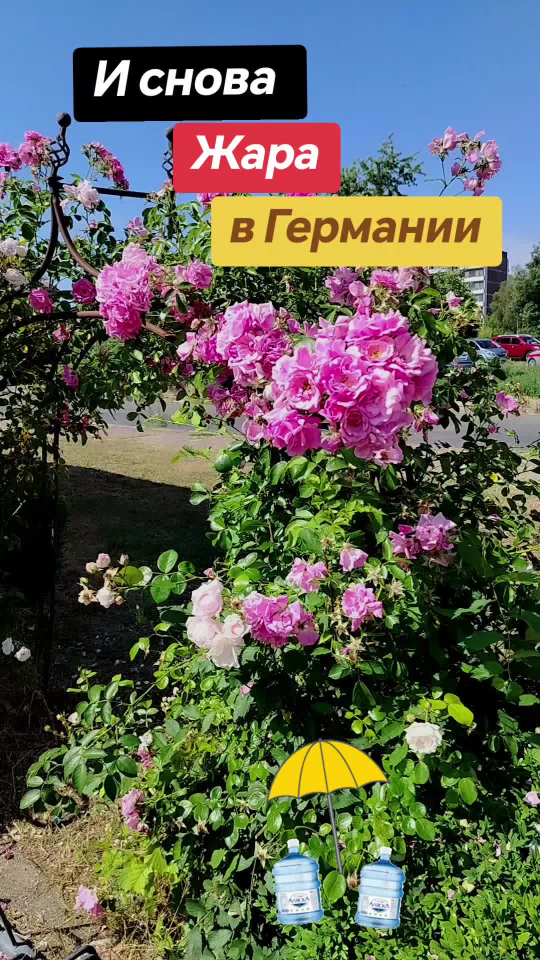 @Tatiana💠