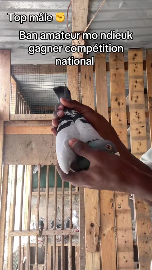 @OMZOLOFT🕊🦜🇸🇳