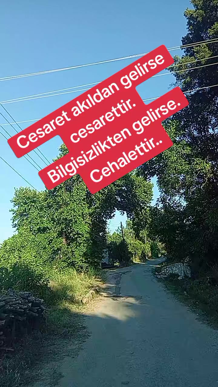 @İsmail sarıkavak