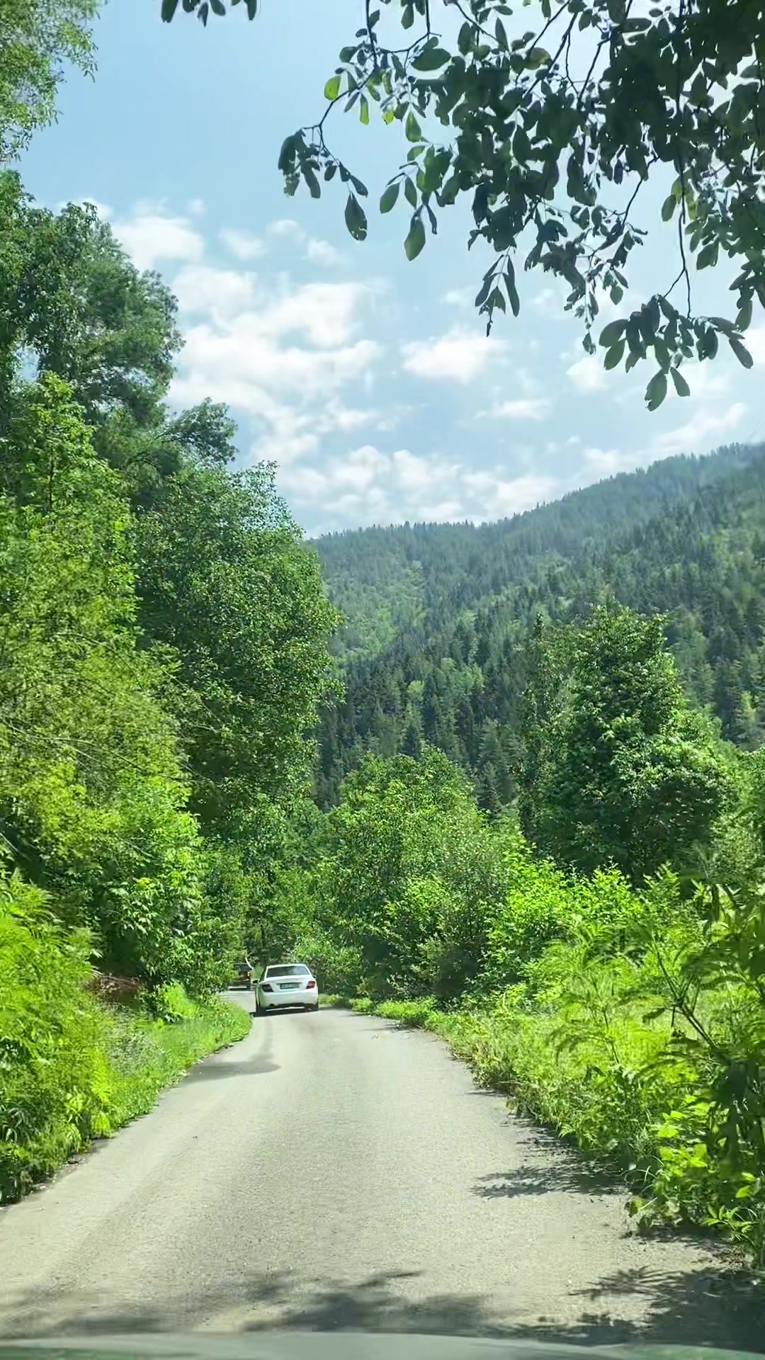 @Doğa Ajandası