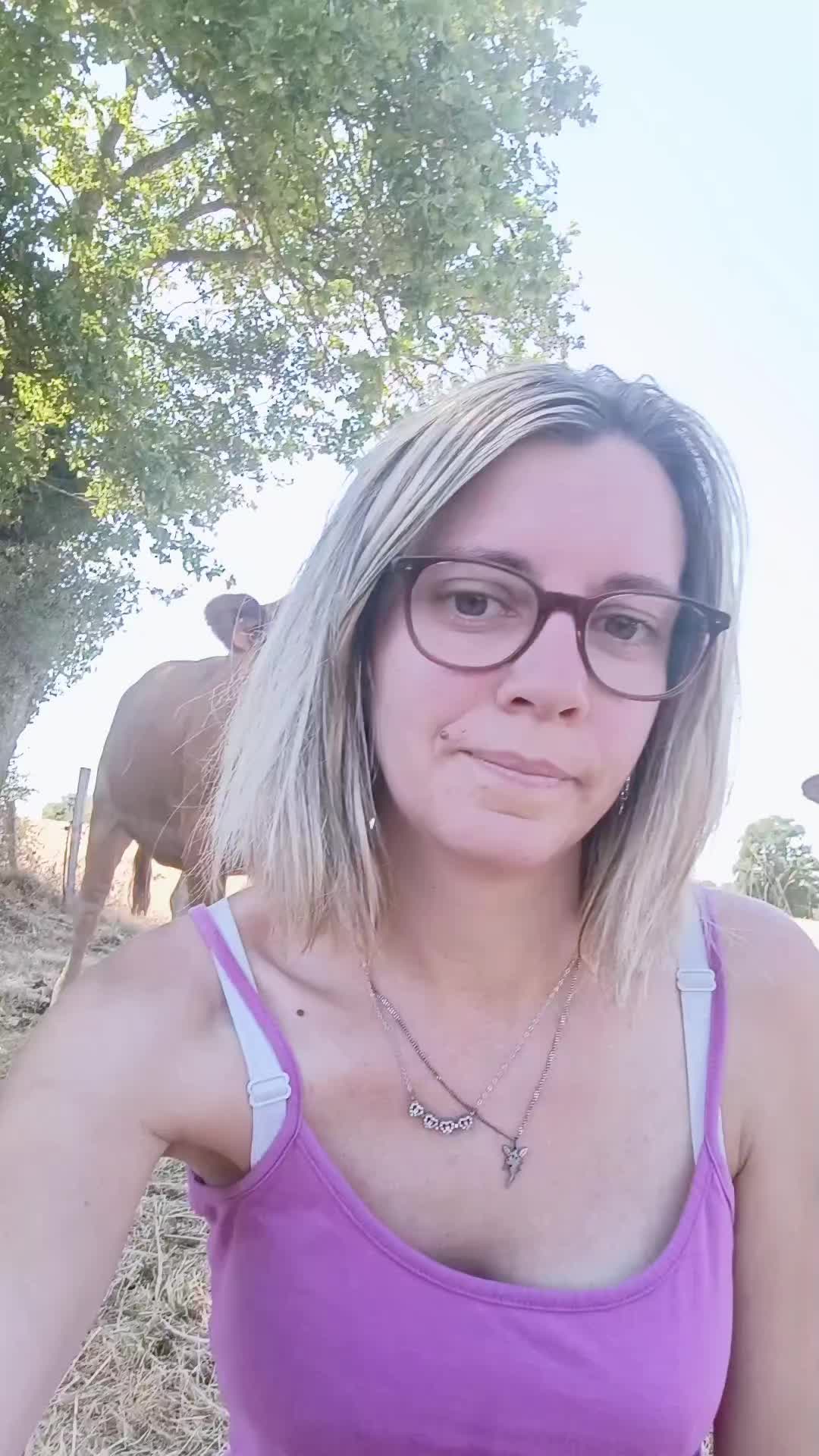 @Ludivine 🪶🐶🐮