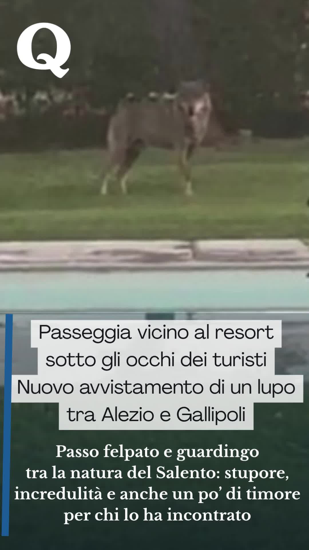 @Quotidiano di Puglia
