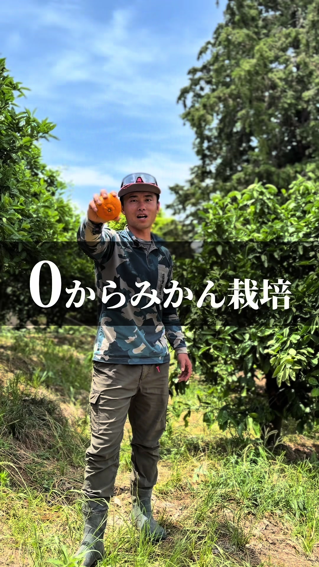@杉ちゃんのみかん🍊