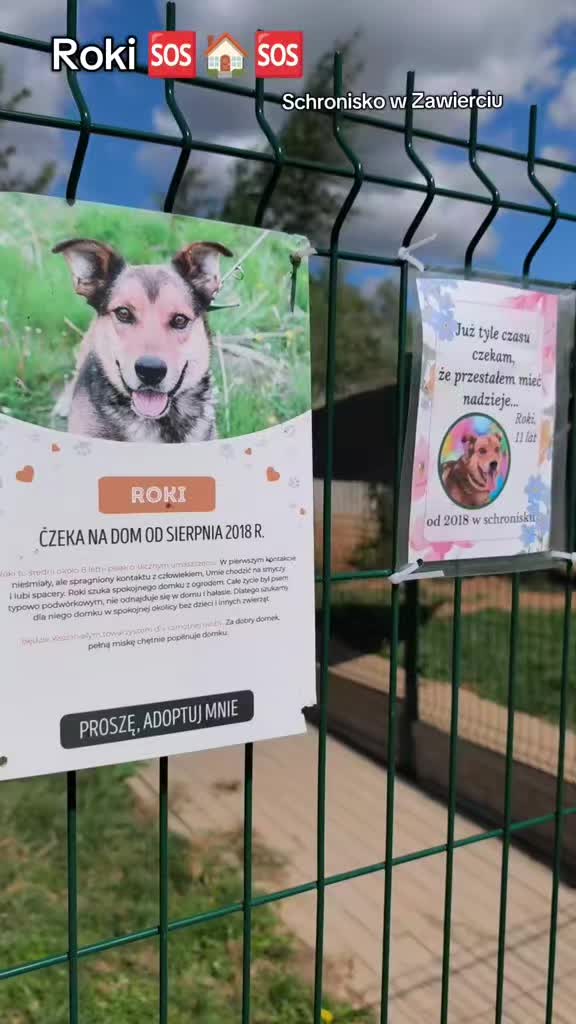 @Bezdomniaki_ze_śląska