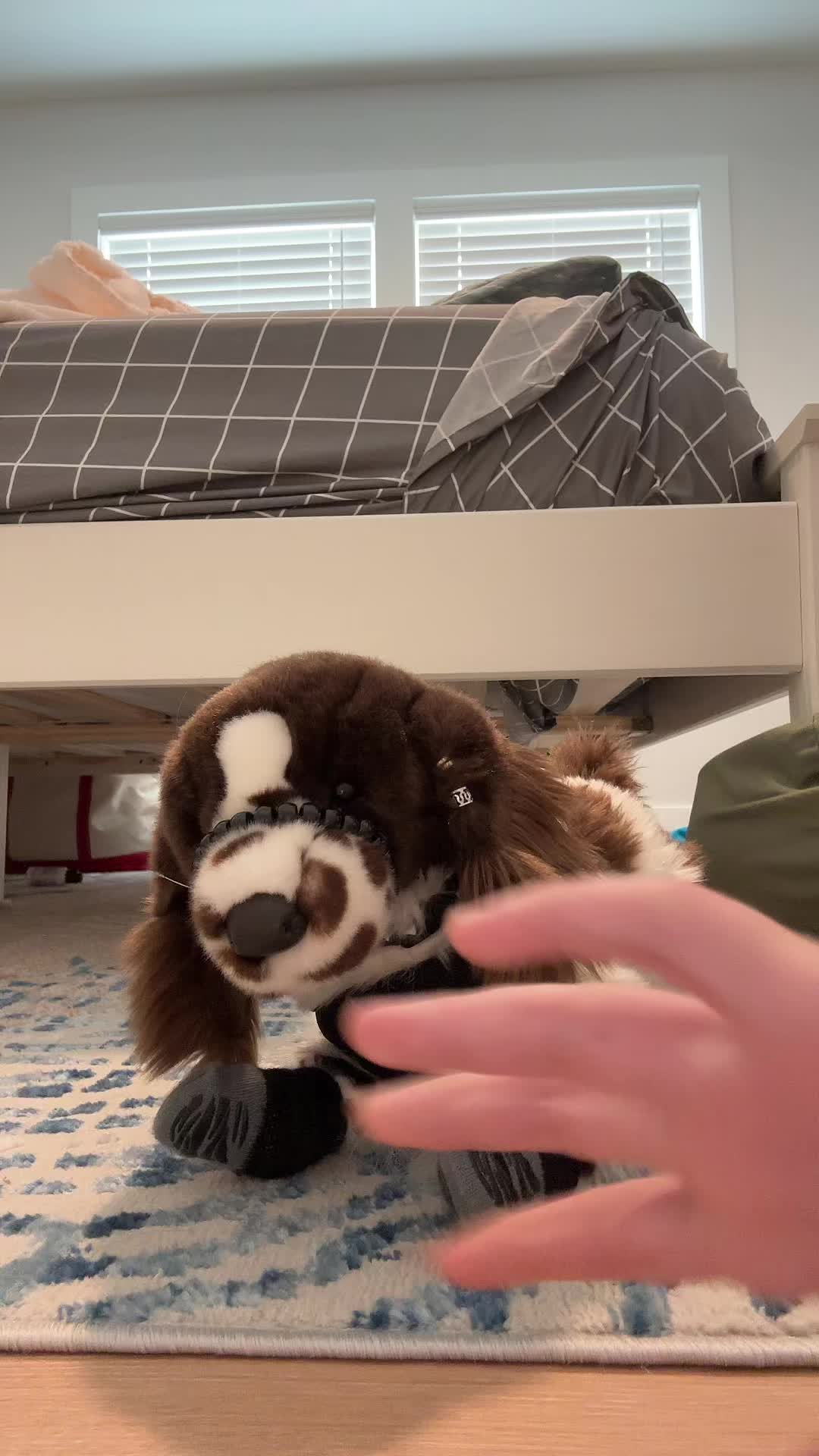 @pupplace