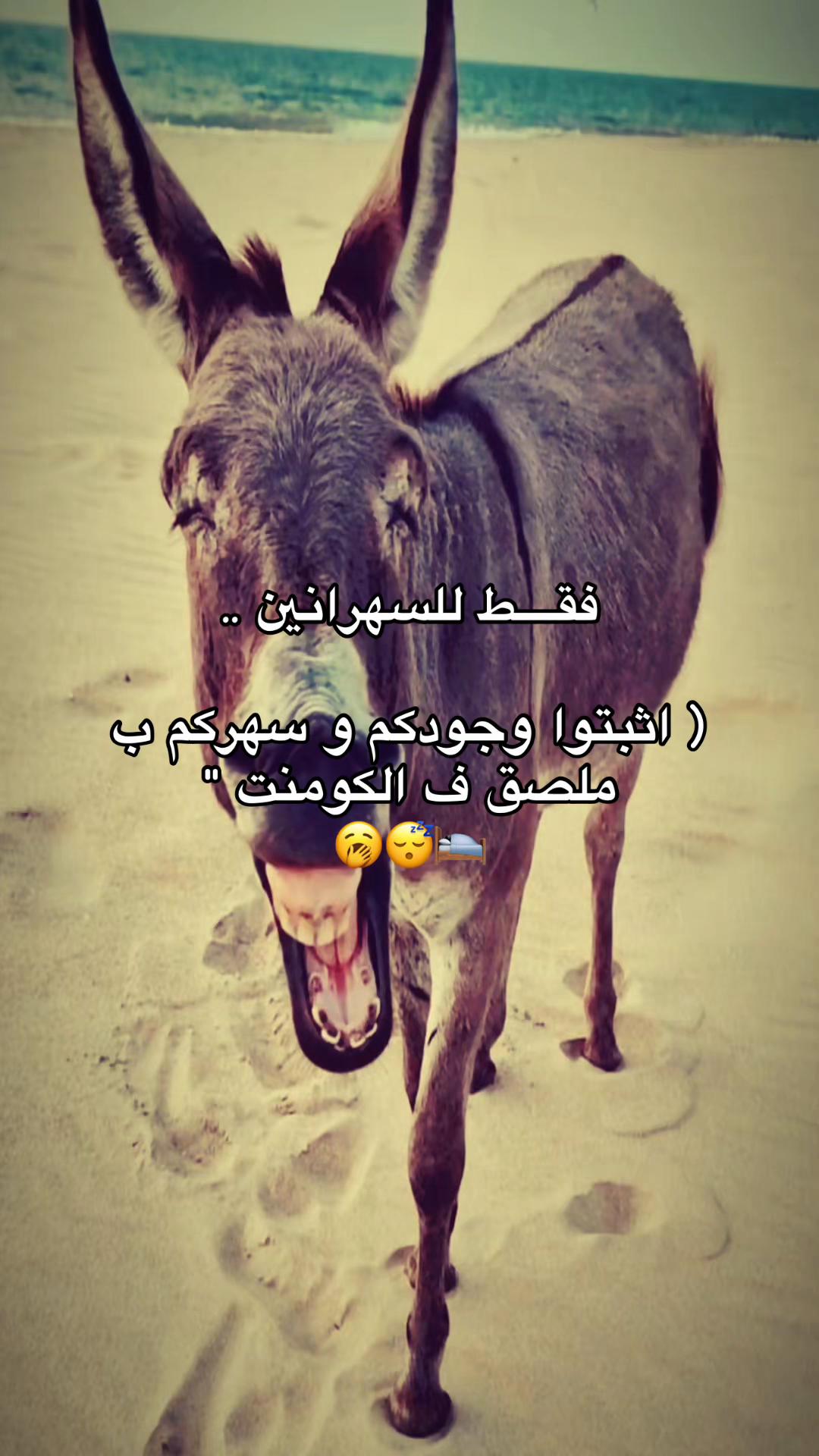 @لـ,ـؤي̲ 🇦🇪