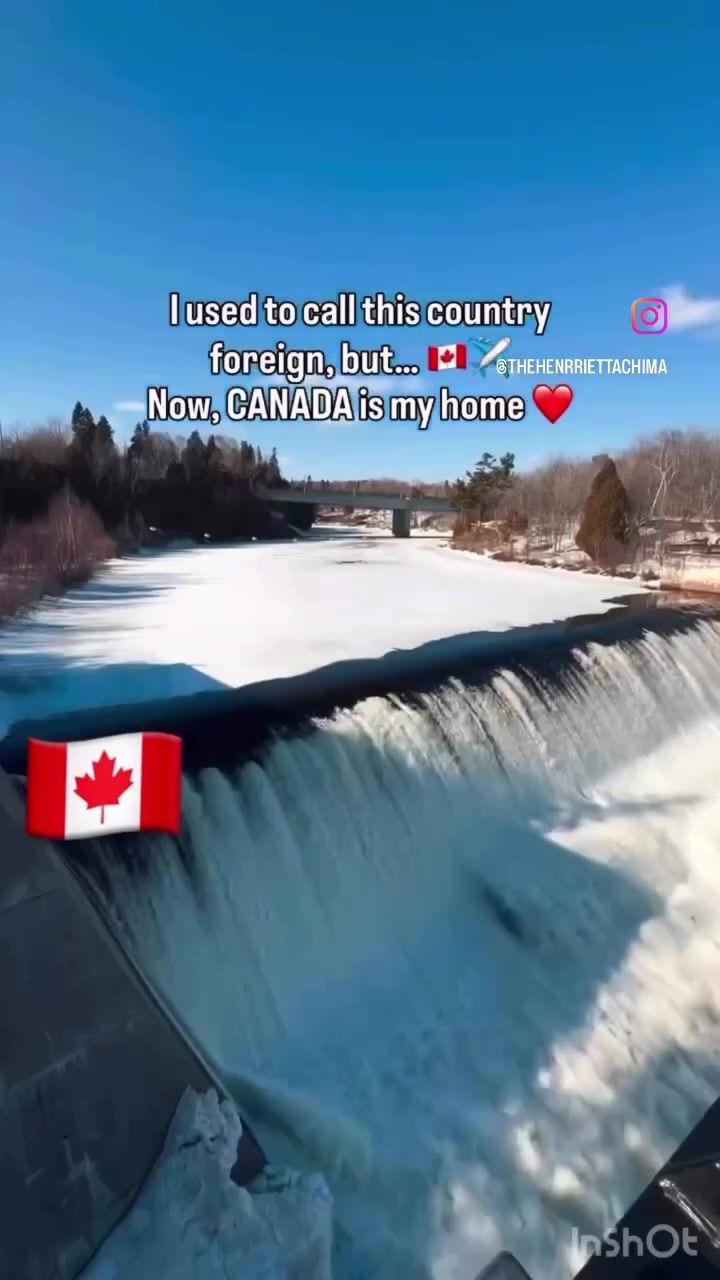 @thehenrriettachima 🇨🇦🇫🇮