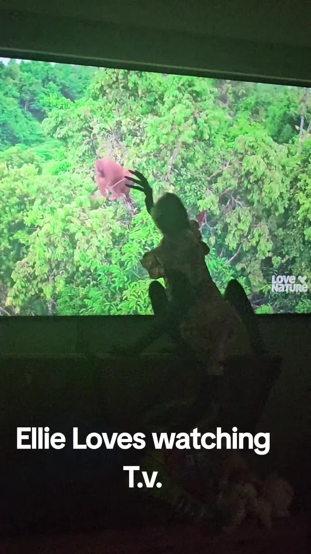 @It's🐵Monkey🐵Time🐵
