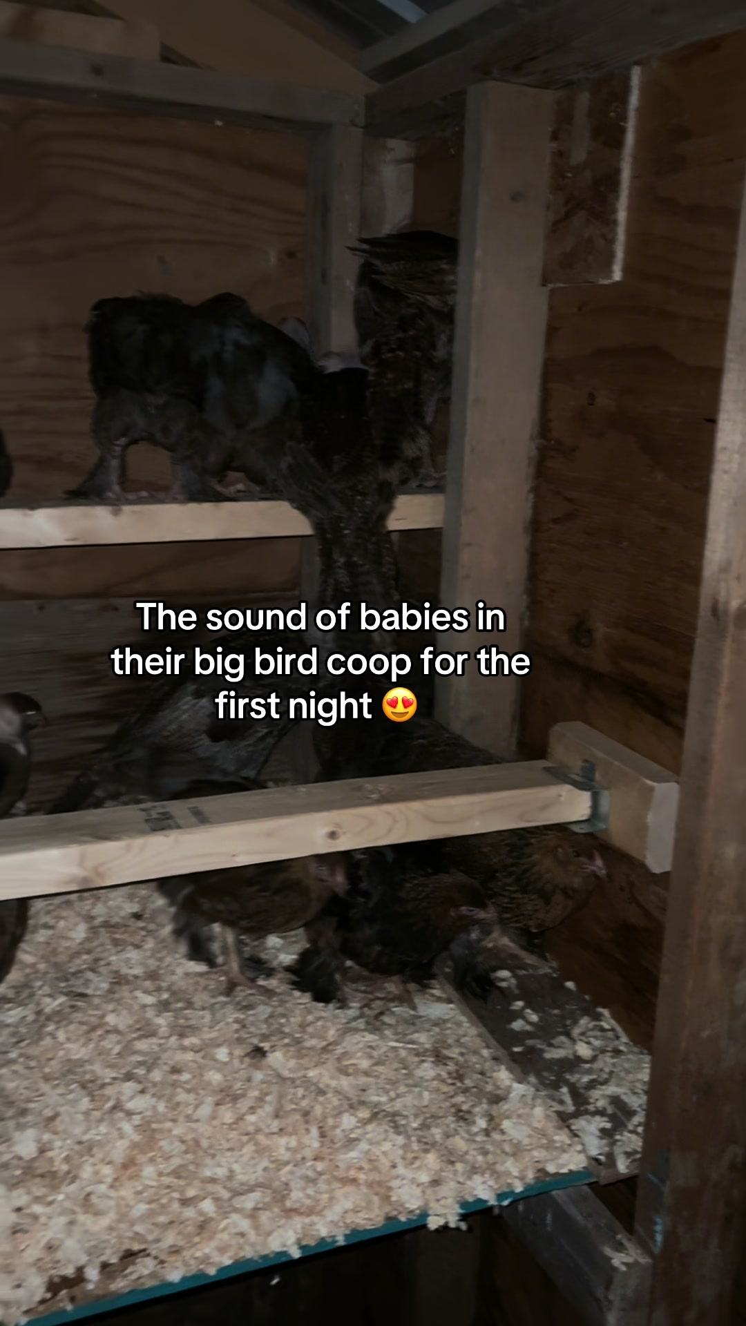 @Ferally Fowl Farmstead