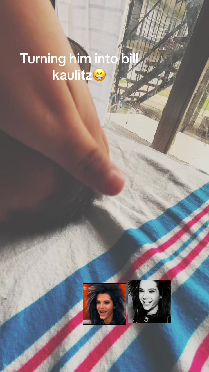 @Aurora丰