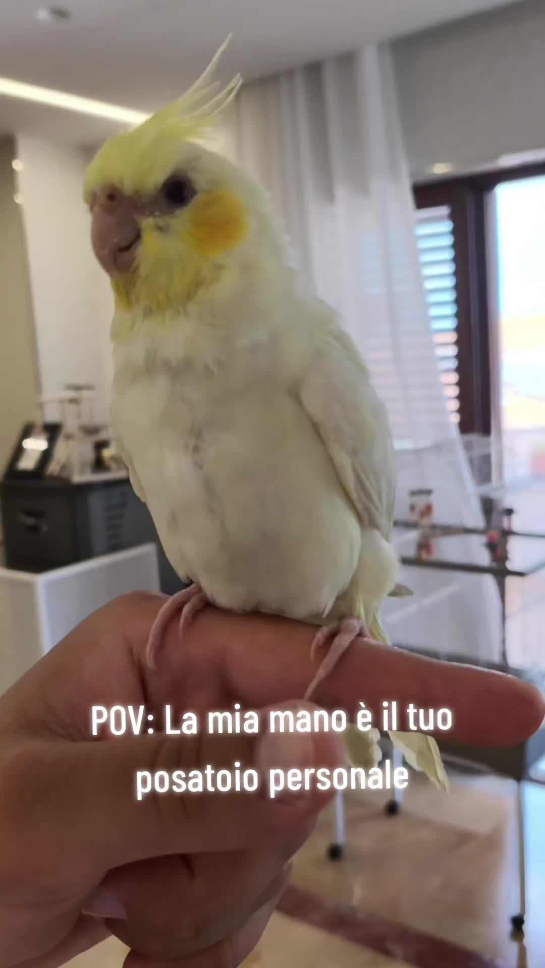 @Allevamento di Gio