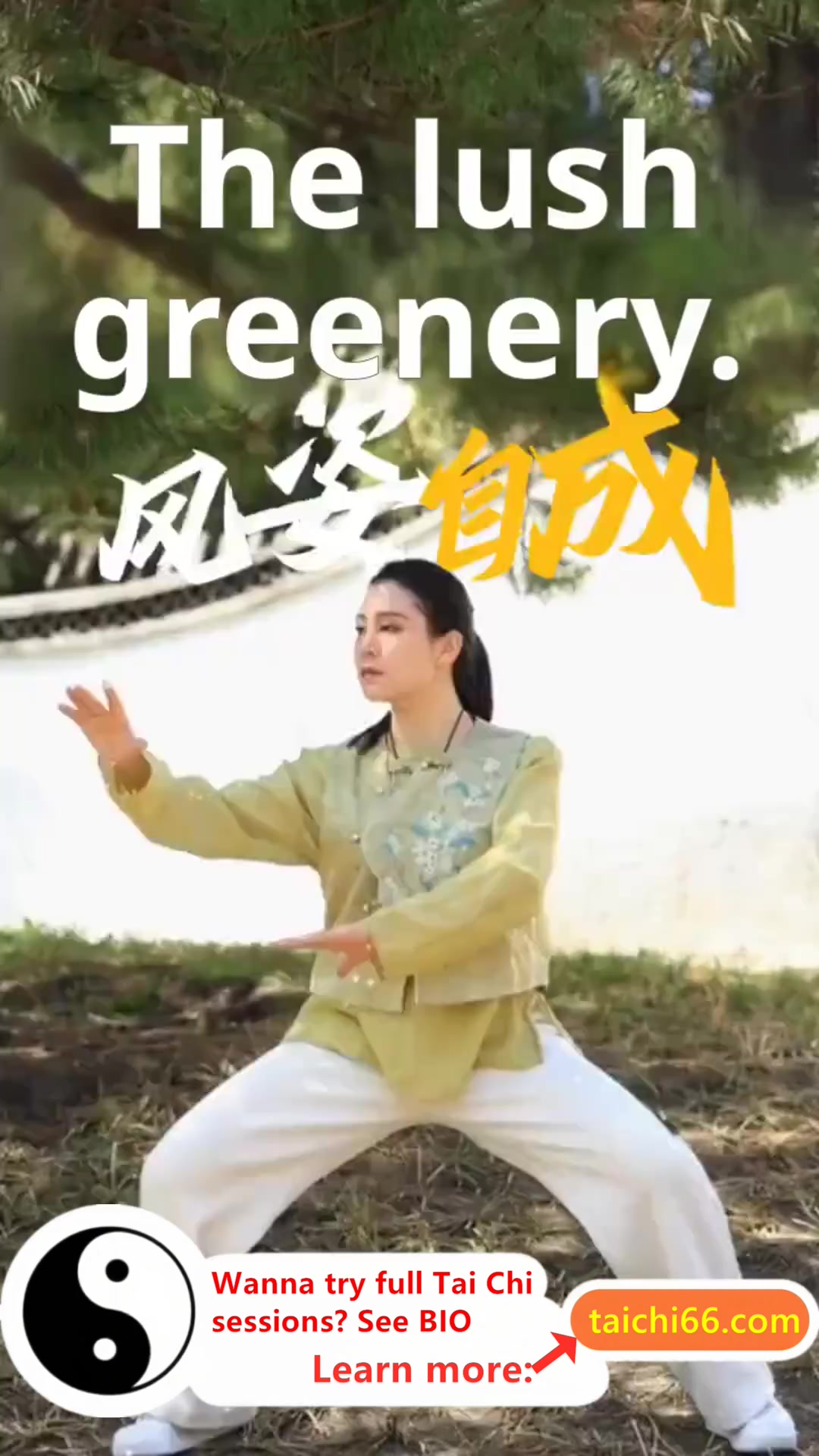 @HuaKai Taichi
