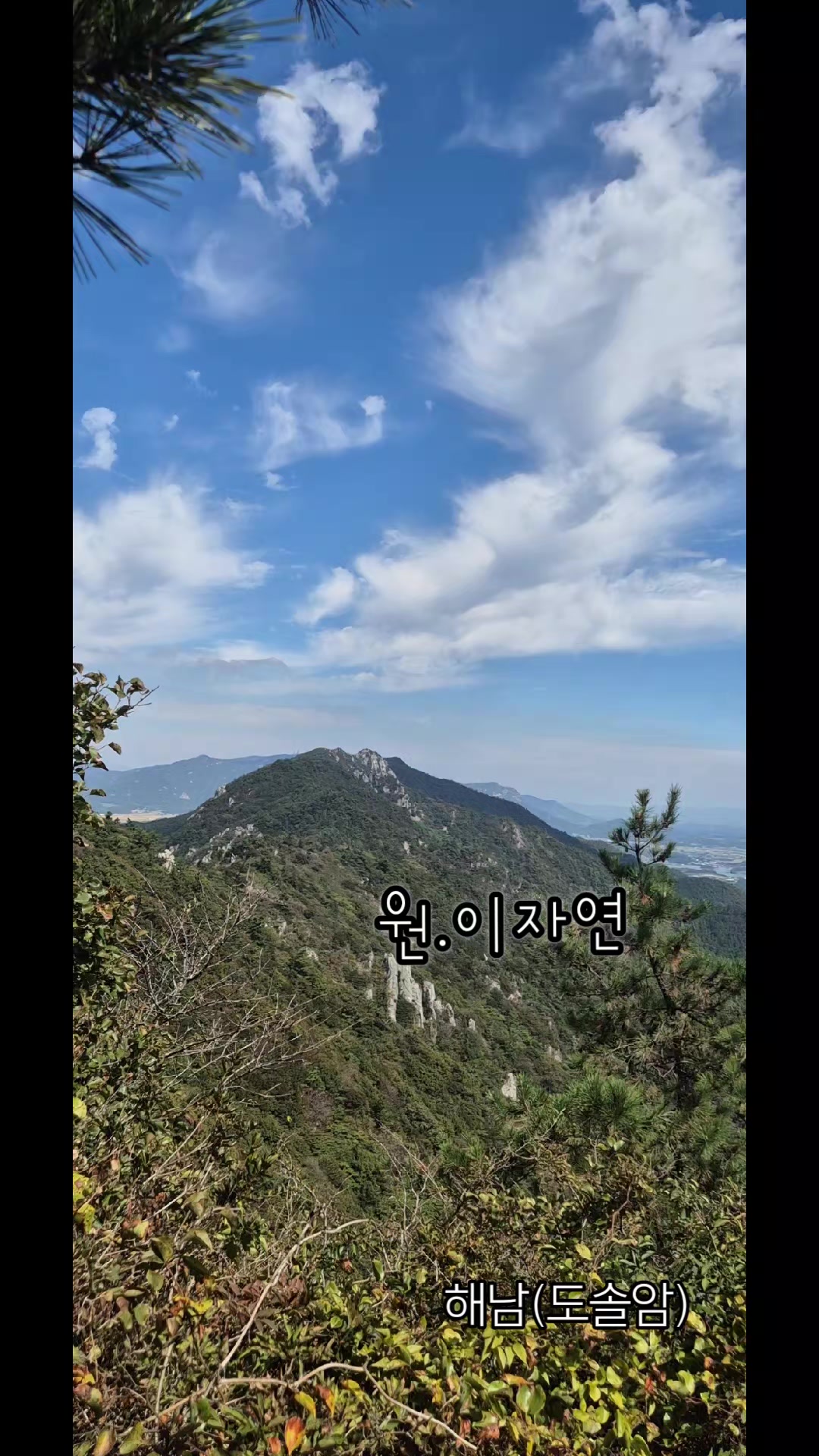 @금은희