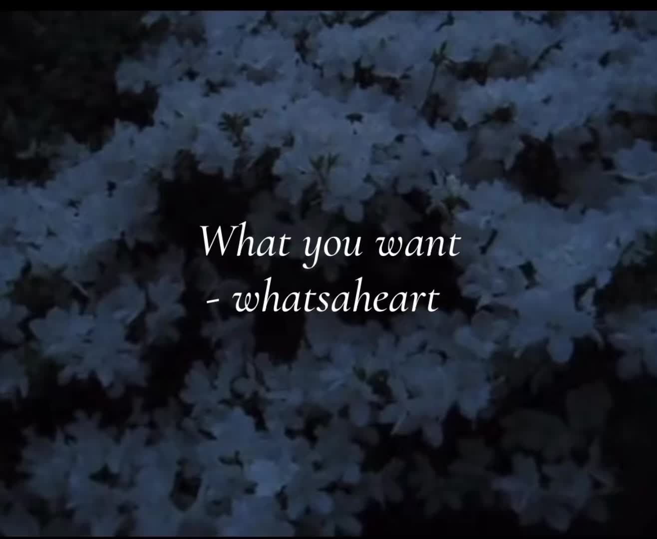 @ოílօ🐾(🖤,🐇,🫀,💚,🌹,🃏'sver)