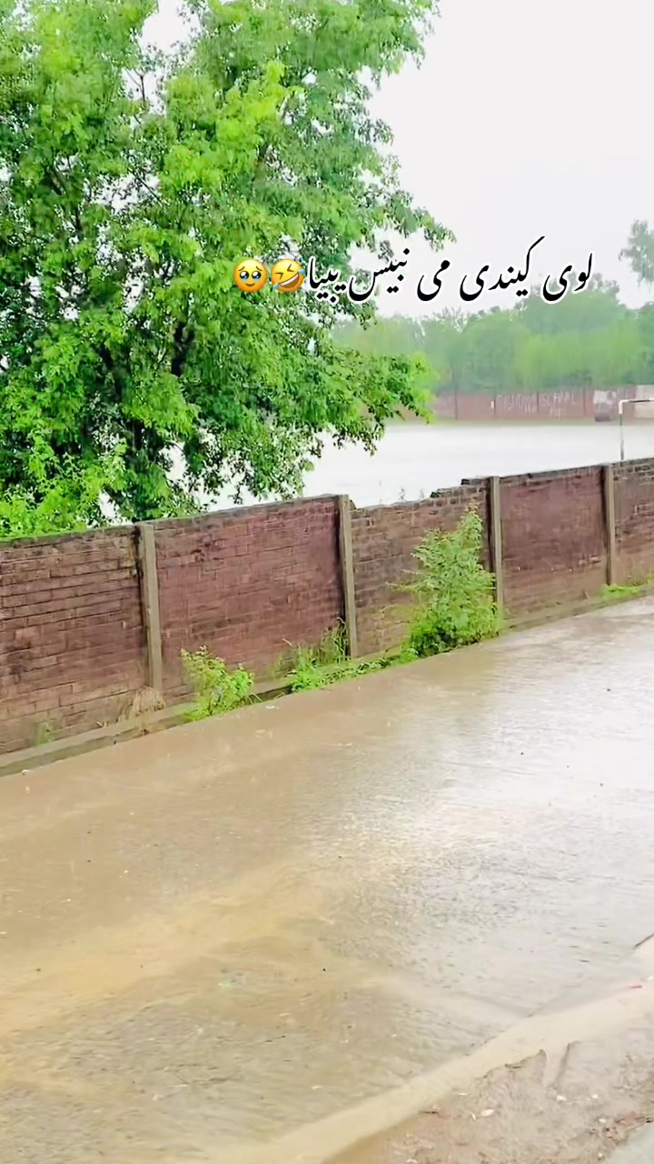 @سونا پنجاب 🌾🍂🥀